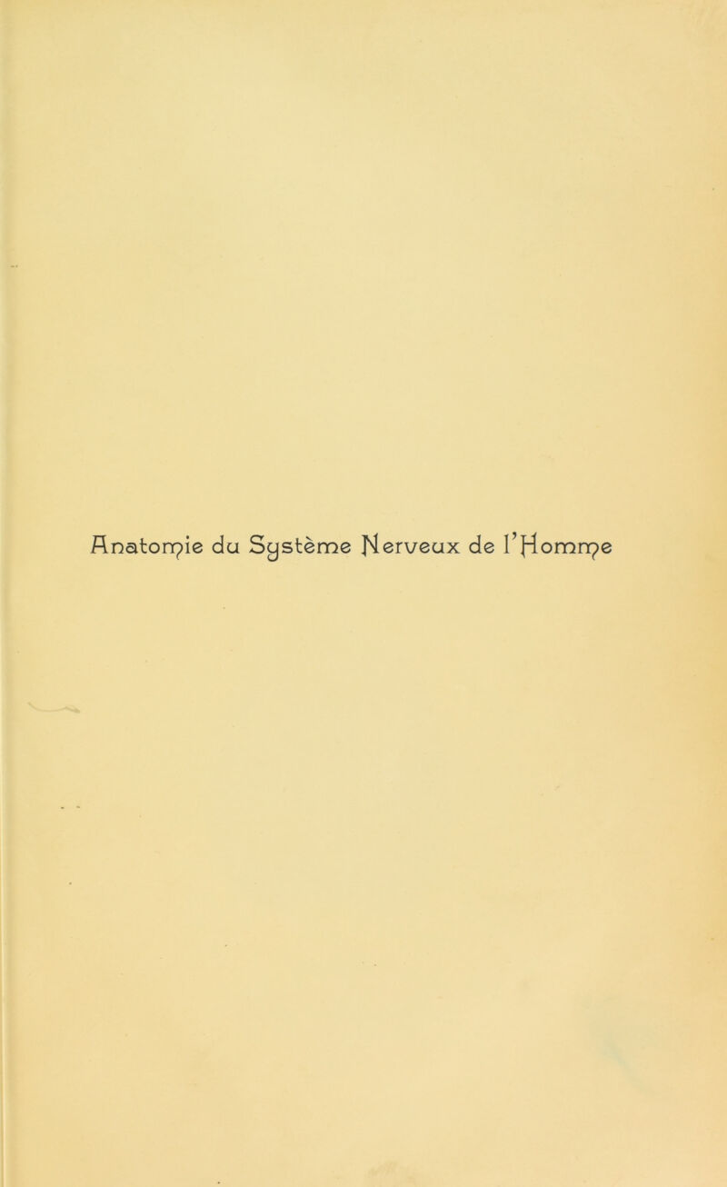 Anatorrpic du Système H^rveux de I’Homn?e