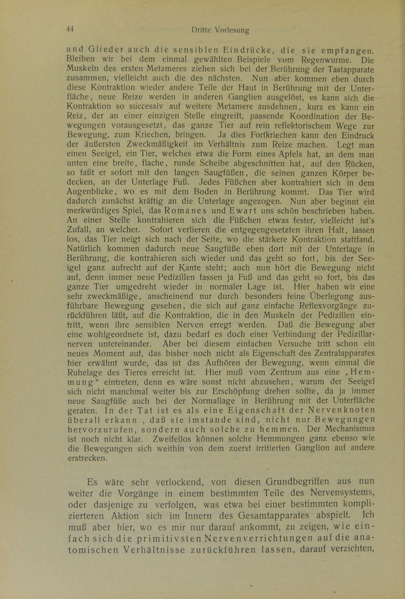 und Glieder auch die sensiblen Eindrücke, die sie empfangen. Bleiben wir bei dem einmal gewählten Beispiele vom Regenwürme. Die Muskeln des ersten Metameres ziehen sich bei der Berührung der Tastapparate zusammen, vielleicht auch die des nächsten. Nun aber kommen eben durch diese Kontraktion wieder andere Teile der Haut in Berührung mit der Unter- fläche, neue Reize werden in anderen Ganglien ausgelöst, es kann sich die Kontraktion so süccessiv auf weitere Metamere ausdehnen, kurz es kann ein Reiz, der an einer einzigen Stelle eingreift, passende Koordination der Be- wegungen vorausgesetzt, das ganze Tier auf rein reflektorischem Wege zur Bewegung, zum Kriechen, bringen. Ja dies Fortkriechen kann den Eindruck der äußersten Zweckmäßigkeit im Verhältnis zum Reize machen. Legt man einen Seeigel, ein Tier, welches etwa die Form eines Apfels hat, an dem man unten eine breite, flache, runde Scheibe abgeschnitten hat, auf den Rücken, so faßt er sofort mit den langen Saugfüßen, die seinen ganzen Körper be- decken, an der Unterlage Fuß. Jedes Füßchen aber kontrahiert sich in dem Augenblicke, wo es mit dem Boden in Berührung kommt. Das Tier wird dadurch zunächst kräftig an die Unterlage angezogen. Nun aber beginnt ein merkwürdiges Spiel, das Roma nes und Ewart uns schön beschrieben haben. An einer Stelle kontrahieren sich die Füßchen etwas fester, vielleicht ist’s Zufall, an welcher. Sofort verlieren die entgegengesetzten ihren Halt, lassen los, das Tier neigt sich nach der Seite, wo die stärkere Kontraktion stattfand. Natürlich kommen dadurch neue Saugfüße eben dort mit der Unterlage in Berührung, die kontrahieren sich wieder und das geht so fort, bis der See- igel ganz aufrecht auf der Kante steht; auch nun hört die Bewegung nicht auf, denn immer neue Pedizillen fassen ja Fuß und das geht so fort, bis das ganze Tier umgedreht wieder in normaler Lage ist. Hier haben wir eine sehr zweckmäßige, anscheinend nur durch besonders feine Überlegung aus- führbare Bewegung gesehen, die sich auf ganz einfache Reflexvorgänge zu- rückführen läßt, auf die Kontraktion, die in den Muskeln der Pedizillen ein- tritt, wenn ihre sensiblen Nerven erregt werden. Daß die Bewegung aber eine wohlgeordnete ist, dazu bedarf es doch einer Verbindung der Pedizillar- nerven untereinander. Aber bei diesem einfachen Versuche tritt schon ein neues Moment auf, das bisher noch nicht als Eigenschaft des Zentralapparates hier erwähnt wurde, das ist das Aufhören der Bewegung, wenn einmal die Ruhelage des Tieres erreicht ist. Hier muß vom Zentrum aus eine „Hem- mung“ eintreten, denn es wäre sonst nicht abzusehen, warum der Seeigel sich nicht manchmal weiter bis zur Erschöpfung drehen sollte, da ja immer neue Saugfüße auch bei der Normallage in Berührung mit der Unterfläche geraten, ln der Tat ist es als eine Eigenschaft der Nervenknoten überall erkann , daß sie imstande sind, nicht nur Bewegungen hejvorzurufen, sondern auch solche zu hemmen. Der Mechanismus ist noch nicht klar. Zweifellos können solche Hemmungen ganz ebenso wie die Bewegungen sich weithin von dem zuerst irritierten Ganglion auf andere erstrecken. Es wäre sehr verlockend, von diesen Grundbegriffen aus nun weiter die Vorgänge in einem bestimmten Teile des Nervensystems, oder dasjenige zu verfolgen, was etwa bei einer bestimmten kompli- zierteren Aktion sich im Innern des Gesamtapparates abspielt. Ich muß aber hier, wo es mir nur darauf ankommt, zu zeigen, wie ein- fach sich die primitivsten Nervenverrichtungen auf die ana- tomischen Verhältnisse zurückführen lassen, darauf verzichten,