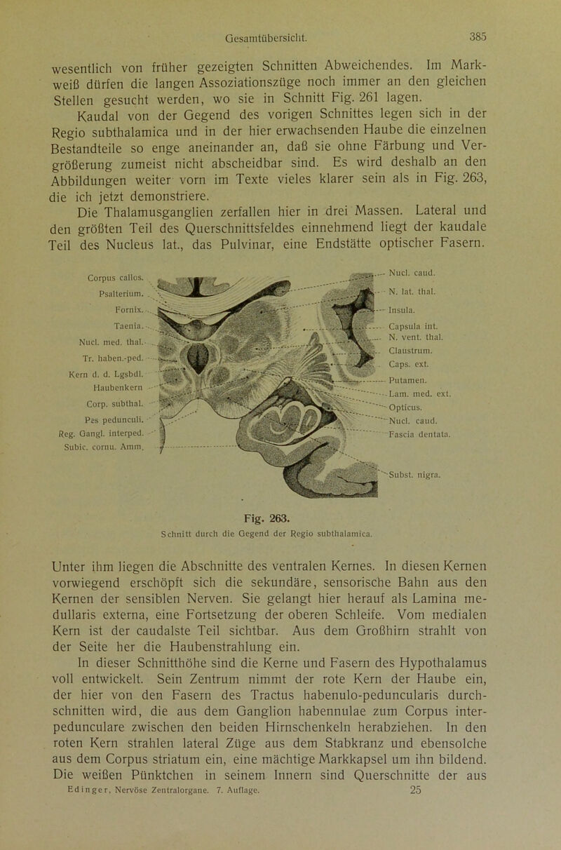 wesentlich von früher gezeigten Schnitten Abweichendes. Im Mark- weiß dürfen die langen Assoziationszüge noch immer an den gleichen Stellen gesucht werden, wo sie in Schnitt Fig. 261 lagen. Kaudal von der Gegend des vorigen Schnittes legen sich in der Regio subthalamica und in der hier erwachsenden Haube die einzelnen Bestandteile so enge aneinander an, daß sie ohne Färbung und Ver- größerung zumeist nicht abscheidbar sind. Es wird deshalb an den Abbildungen weiter vorn im Texte vieles klarer sein als in Fig. 263, die ich jetzt demonstriere. Die Thalamusganglien zerfallen hier in drei Massen. Lateral und den größten Teil des Querschnittsfeldes einnehmend liegt der kaudale Teil des Nucleus lat., das Pulvinar, eine Endstätte optischer Fasern. Corpus callos. Psalterium. Fornix. Taenia. Nucl. med. thal. Tr. haben.-ped. Kern d. d. Lgsbdl. Haubenkern Corp. subthal. Pes pedunculi. Reg. Gangl. interped. Subic. cornu. Amm. Fig. 263. Schnitt durch die Gegend der Regio subthalamica. — Nucl. caud. - N. lat. thal. -- Insula. - Capsula int. . N. vent. thal. g.. Claustrum. Caps. ext. Putameu. -Lam. med. ext. Opticus. Nucl. caud. Fascia dentata. ''Subst. nigra. Unter ihm liegen die Abschnitte des ventralen Kernes. In diesen Kernen vorwiegend erschöpft sich die sekundäre, sensorische Bahn aus den Kernen der sensiblen Nerven. Sie gelangt hier herauf als Lamina me- dullaris externa, eine Fortsetzung der oberen Schleife. Vom medialen Kern ist der caudalste Teil sichtbar. Aus dem Großhirn strahlt von der Seite her die Haubenstrahlung ein. In dieser Schnitthöhe sind die Kerne und Fasern des Hypothalamus voll entwickelt. Sein Zentrum nimmt der rote Kern der Haube ein, der hier von den Fasern des Tractus habenulo-peduncularis durch- schnitten wird, die aus dem Ganglion habennulae zum Corpus inter- pedunculare zwischen den beiden Hirnschenkeln herabziehen. In den roten Kern strahlen lateral Züge aus dem Stabkranz und ebensolche aus dem Corpus Striatum ein, eine mächtige Markkapsel um ihn bildend. Die weißen Pünktchen in seinem Innern sind Querschnitte der aus Ed in ge r. Nervöse Zentralorgane. 7. Auflage. 25