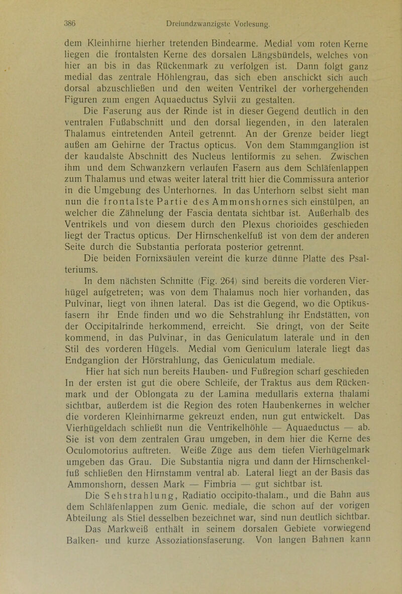 dem Kleinhirne hierher tretenden Bindearme. Medial vom roten Kerne liegen die frontalsten Kerne des dorsalen Längsbündels, welches von hier an bis in das Rückenmark zu verfolgen ist. Dann folgt ganz medial das zentrale Höhlengrau, das sich eben anschickt sich auch dorsal abzuschließen und den weiten Ventrikel der vorhergehenden Figuren zum engen Aquaeductus Sylvii zu gestalten. Die Faserung aus der Rinde ist in dieser Gegend deutlich in den ventralen Fußabschnitt und den dorsal liegenden, in den lateralen Thalamus eintretenden Anteil getrennt. An der Grenze beider liegt außen am Gehirne der Tractus opticus. Von dem Stammganglion ist der kaudalste Abschnitt des Nucleus lentiformis zu sehen. Zwischen ihm und dem Schwanzkern verlaufen Fasern aus dem Schläfenlappen zum Thalamus und etwas weiter lateral tritt hier die Commissura anterior in die Umgebung des Unterhornes. ln das Unterhorn selbst sieht man nun die frontalste Partie des Ammonshorn es sich einstülpen, an welcher die Zähnelung der Fascia dentata sichtbar ist. Außerhalb des Ventrikels und von diesem durch den Plexus chorioides geschieden liegt der Tractus opticus. Der Hirnschenkelfuß ist von dem der anderen Seite durch die Substantia perforata posterior getrennt. Die beiden Fornixsäulen vereint die kurze dünne Platte des Psal- teriums. In dem nächsten Schnitte (Fig. 264) sind bereits die vorderen Vier- hügel aufgetreten; was von dem Thalamus noch hier vorhanden, das Pulvinar, liegt von ihnen lateral. Das ist die Gegend, wo die Optikus- fasern ihr Ende finden und wo die Sehstrahlung ihr Endstätten, von der Occipitalrinde herkommend, erreicht. Sie dringt, von der Seite kommend, in das Pulvinar, in das Geniculatum laterale und in den Stil des vorderen Hügels. Medial vom Geniculum laterale liegt das Endganglion der Hörstrahlung, das Geniculatum mediale. Hier hat sich nun bereits Hauben- und Fußregion scharf geschieden In der ersten ist gut die obere Schleife, der Traktus aus dem Rücken- mark und der Oblongata zu der Lamina medullaris externa thalami sichtbar, außerdem ist die Region des roten Haubenkernes in welcher die vorderen Kleinhirnarme gekreuzt enden, nun gut entwickelt. Das Vierhügeldach schließt nun die Ventrikelhöhle — Aquaeductus — ab. Sie ist von dem zentralen Grau umgeben, in dem hier die Kerne des Oculomotorius auftreten. Weiße Züge aus dem tiefen Vierhügelmark umgeben das Grau. Die Substantia nigra und dann der Hirnschenkel- fuß schließen den Hirnstamm ventral ab. Lateral liegt an der Basis das Ammonshorn, dessen Mark — Fimbria — gut sichtbar ist. Die Sehstrahlung, Radiatio occipito-thalam., und die Bahn aus dem Schläfenlappen zum Genie, mediale, die schon auf der vorigen Abteilung als Stiel desselben bezeichnet war, sind nun deutlich sichtbar. Das Markweiß enthält in seinem dorsalen Gebiete vorwiegend Balken- und kurze Assoziationsfaserung. Von langen Bahnen kann