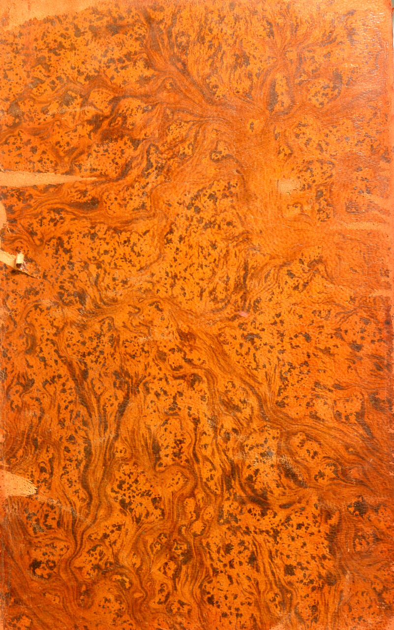 No text description is available for this image