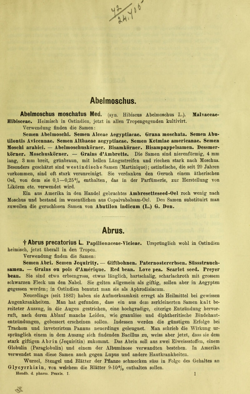 Abeimoschus. Abelmoschus moschatus Med. (syn. Hibiscus Abelmoschus L.). Malvaceae- Hibisceae. Heimisch in Ostindien, jetzt in allen Tropengegenden kultivirt. Verwendung finden die Samen: Semen Abelmoschi. Semen Alceae Aegyptiacae. Grana moschata. Semen Abu- tilontis Avicennae. Semen Althaeae aegyptiacae. Semen Ketmiae americanae. Semen Moschi arabici. — Abelmoschuskörner. Bisamkörner. Bisampappelsamen. Dessmer- körner. Moschuskörner. — Grains d’Ambrette. Die Samen sind nierenförmig, 4 mm lang, 3 mm breit, grünbraun, mit hellen Längsstreifen und riechen stark nach Moschus. Besonders geschätzt sind westindische Samen (Martinique); ostindische, die seit 20 Jahren Vorkommen, sind oft stark verunreinigt. Sie verdanken den Geruch einem ätherischen Oel, von dem sie 0,1—0,25°/0 enthalten, das in der Parfümerie, zur Herstellung von Likören etc. verwendet wird. Ein aus Amerika in den Handel gebrachtes Ambresetteseed-Oel roch wenig nach Moschus und bestand im wesentlichen aus Copaivabalsam-Oel. Den Samen substituirt man zuweilen die geruchlosen Samen von Abutilon indicum (L.) G. Don. Abrus. f Abrus precatorius L. Papilionaceae-Yicieae. Ursprünglich wohl in Ostindien heimisch, jetzt überall in den Tropen. Verwendung finden die Samen: Semen Abri. Semen Jequirity. — Giftbohnen. Paternostererbsen. Süssstrauch- samen. — Grains ou pois d’Amerique. Ked bean. Loye pea. Scarlet seed. Preyer bean. Sie sind etwa erbsengross, etwas länglich, hartschalig, scharlachroth mit grossem schwarzen Fleck um den Nabel. Sie gelten allgemein als giftig, sollen aber in Aegypten gegessen werden; in Ostindien benutzt man sie als Aphrodisiacum. Neuerdings (seit 1882) haben sie Aufmerksamkeit erregt als Heilmittel bei gewissen Augenkrankheiten. Man hat gefunden, dass ein aus dem zerkleinerten Samen kalt be- reiteter Auszug, in die Augen gestrichen, eine hochgradige, eiterige Entzündung hervor- ruft, nach deren Ablauf manche Leiden, wie granulöse und diphtheritische Bindehaut- entzündungen, gebessert erscheinen sollen. Indessen werden die günstigen Erfolge bei Trachom und inveterirtem Pannus neuerdings geleugnet. Man schrieb die Wirkung ur- sprünglich einem in dem Auszug sich findenden Bacillus zu, weiss aber jetzt, dass sie dem stark giftigen Abrin (Jequiritin) zukommt. Das Abrin soll aus zwei Eiweissstoffen, einem Globulin (Paraglobulin) und einem der Albuminose verwandten bestehen. In Amerika verwendet man diese Samen auch gegen Lupus und andere Hautkrankheiten. Wurzel, Stengel und Blätter der Pflanze schmecken süss in Folge des Gehaltes au Glycyrrhizin, von welchem die Blätter 9-10°/0 enthalten sollen. Handb. d. pharm. Praxis. I. 1