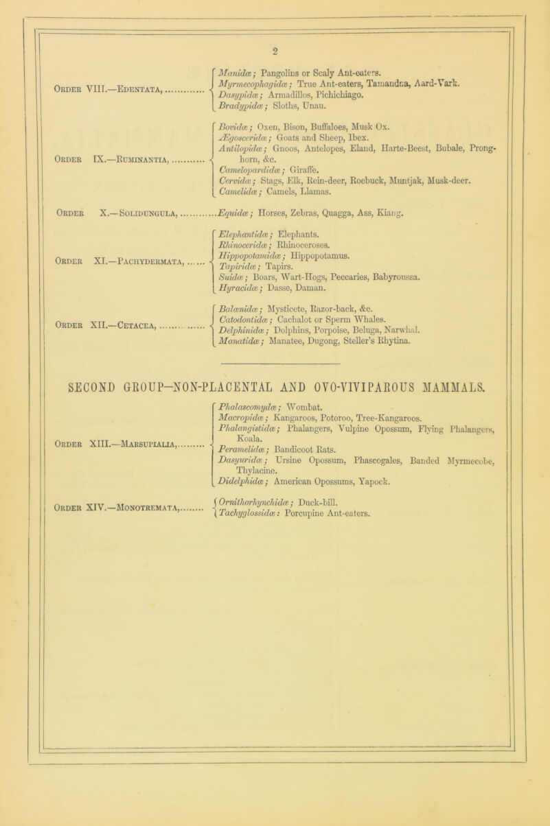 I Order VIIT.—Edentata, Order IX.—Ruminantia, Order X.—Solidungula, Order XI.—Paciiydermata, Order XII.—Cetacea, 2 f Manulce; Pangolins or Scaly Ant-eaters. J MyrmecopTiagidcc; True Ant-eaters, Tamandr.a, Aard-Yark. j Dasypidce; Armadillos, Pichichiago. Bradypidce; Sloths, Unau. ’ Bovidai; Oxen, Bison, Buffaloes, Musk Ox. sEgosceridce ; Goats and Sheep, Ibex. Antilopidce; Gnoos, Antelopes, Eland, Harte-Beest, Bubale, Prong- < horn, &c. Camelopardidce; Giraffe. Cervidce; Stags, Elk, Rein-deer, Roebuck, Munljak, Musk-deer. Cainelidce ; Camels, Llamas. ...Equidce; Horses, Zebras, Quagga, Ass, Kiang. Elephantidce ; Elephants. Rhinoccridce; Rhinoceroses. Hippopotamidce; Hippopotamus. | Tapiridce; Tapirs. Suidce; Boars, Wart-Hogs, Peccaries, Babyroussa. Hyracidce; Dasse, Daman. f Bahcnuhe • Mysticete, Razor-back, &c. J Catodontidce; Cachalot or Sperm Whales. | DelpMnidce; Dolphins, Porpoise, Beluga, Narwhal. Manatidce; Manatee, Dugong, Steller’s Rhytina. SECOND GEOUP-NON-PLACENTAL AND OVO-YIYIPAEOUS MAMMALS. Order XIII.—Marsupialia, Order XIV.—Monotremata, ' Phalascomydce; Wombat. Macropidcc; Kangaroos, Potoroo, Tree-Kangaroos. Phalangistidce; Phalangers, Vidphie Opossum, Flying Phalangers, Koala. Percimelidca; Bandicoot Rats. Dasyuridcv; Ursine Opossum, Phascogales, Banded Myrmecobe, Thylacine. Didelphidce ; American Opossums, Yapock. ( Ornithorhynchidce ; Duck-bill. ( Tachyglossidce: Porcupine Ant-eaters.
