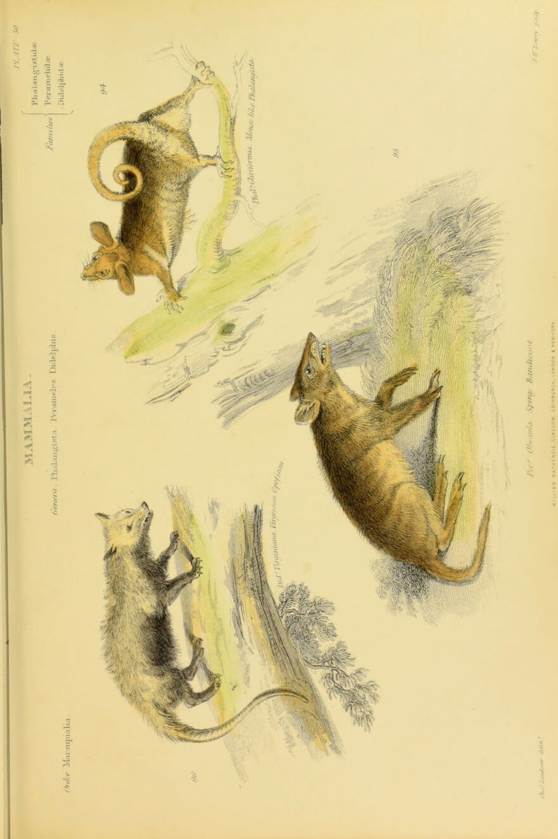 luam M *CKE NZ1E. CLASoOW EDiNRuR&M, 10ND0N l N&W-YORK