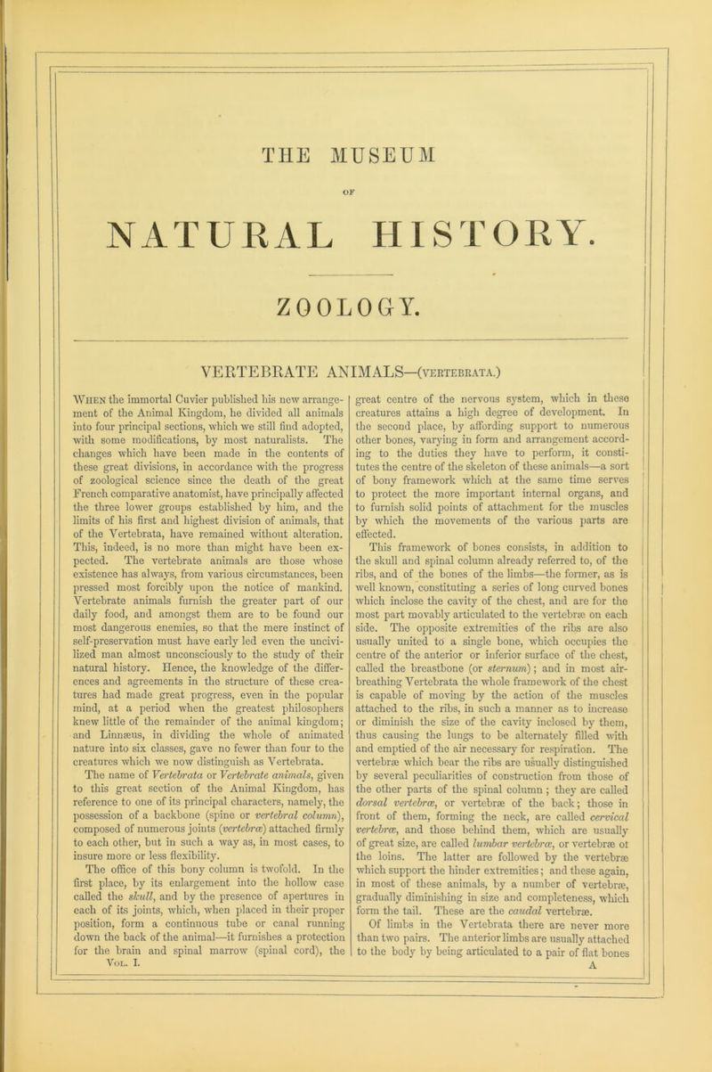 THE MUSEUM OF NATURAL HISTORY. ZOOLOGY. VERTEBRATE ANIMALS—(vertebrata.) When the immortal Cuvier published his new arrange- ment of the Animal Kingdom, he divided all animals into four principal sections, which we still find adopted, with some modifications, by most naturalists. The changes which have been made in the contents of these great divisions, in accordance with the progress of zoological science since the death of the great French comparative anatomist, have principally affected the three lower groups established by him, and the limits of his first and highest division of animals, that of the Vertebrata, have remained without alteration. This, indeed, is no more than might have been ex- pected. The vertebrate animals are those whose existence has always, from various circumstances, been pressed most forcibly upon the notice of mankind. Vertebrate animals furnish the greater part of our daily food, and amongst them are to be found our most dangerous enemies, so that the mere instinct of self-preservation must have early led even the uncivi- lized man almost unconsciously to the study of their natural history. Hence, the knowledge of the differ- ences and agreements in the structure of these crea- tures had made great progress, even in the popular mind, at a period when the greatest philosophers knew little of the remainder of the animal kingdom; and Linnaeus, in dividing the whole of animated nature into six classes, gave no fewer than four to the creatures which we now distinguish as Vertebrata. The name of Vertebrata or Vertebrate animals, given to this great section of the Animal Kingdom, has reference to one of its principal characters, namely, the possession of a backbone (spine or vertebral column), composed of numerous joints {vertebra) attached firmly to each other, but in such a way as, in most cases, to insure more or less flexibility. The office of this bony column is twofold. In the first place, by its enlargement into the hollow case called the skull, and by the presence of apertures in each of its joints, which, when placed in their proper position, form a continuous tube or canal running down the back of the animal—it furnishes a protection for the brain and spinal marrow (spinal cord), the Vol. I. great centre of the nervous system, which in these creatures attains a high degree of development. In the second place, by affording support to numerous other bones, varying in form and arrangement accord- ing to the duties they have to perform, it consti- tutes the centre of the skeleton of these animals—a sort of bony framework which at the same time serves to protect the more important internal organs, and to furnish solid points of attachment for the muscles by which the movements of the various parts are effected. This framework of bones consists, in addition to the skull and spinal column already referred to, of the ribs, and of the bones of the limbs—the former, as is well known, constituting a series of long curved bones which inclose the cavity of the chest, and are for the most part movably articulated to the vertebrae on each side. The opposite extremities of the ribs are also usually united to a single bone, which occupies the centre of the anterior or inferior surface of the chest, called the breastbone (or sternum); and in most air- breathing Vertebrata the whole framework of the chest is capable of moving by the action of the muscles attached to the ribs, in such a manner as to increase or diminish the size of the cavity inclosed by them, thus causing the lungs to be alternately filled with and emptied of the air necessary for respiration. The vertebrae which bear the ribs are usually distinguished by several peculiarities of construction from those of the other parts of the spinal column ; they are called dorsal vertebra, or vertebrae of the back; those in front of them, forming the neck, are called cervical vertebra, and those behind them, which are usually of great size, are called lumbar vertebra, or vertebrae ot the loins. The latter are followed by the vertebrae which support the hinder extremities; and these again, in most of these animals, by a number of vertebrae, gradually diminishing in size and completeness, which form the tail. These are the caudal vertebrae. Of limbs in the Vertebrata there are never more than two pairs. The anterior limbs are usually attached to the body by being articulated to a pair of flat bones A
