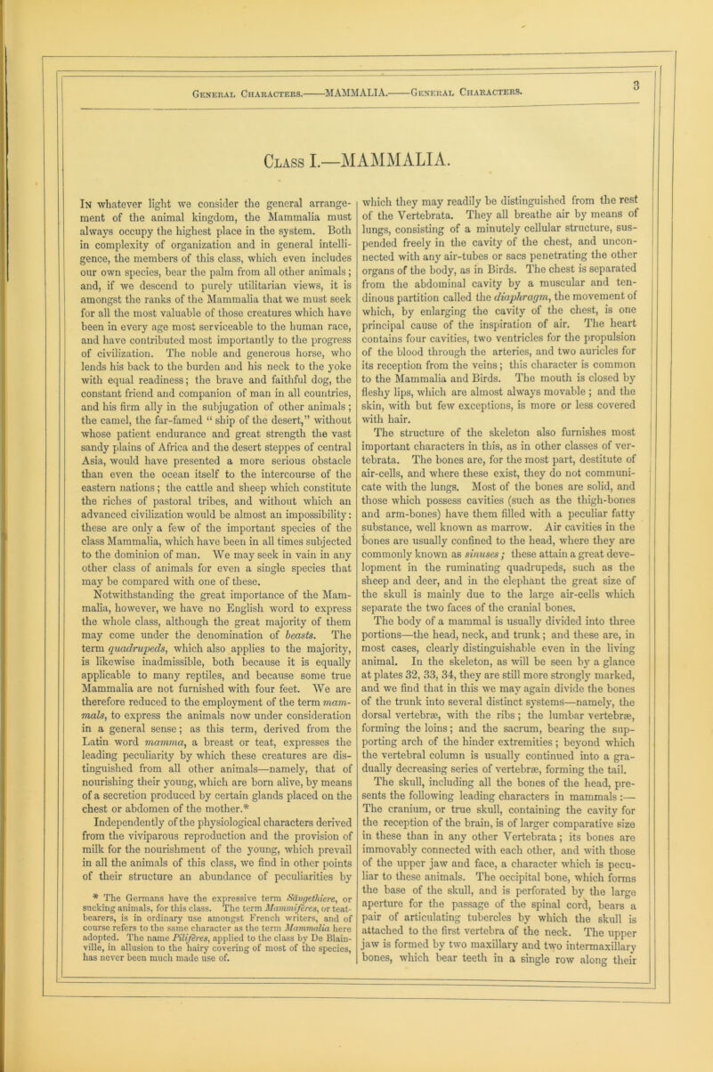 Class I.—MAMMALIA. In whatever light we consider the general arrange- ment of the animal kingdom, the Mammalia must always occupy the highest place in the system. Both in complexity of organization and in general intelli- gence, the members of this class, which even includes our own species, bear the palm from all other animals ; and, if we descend to purely utilitarian views, it is amongst the ranks of the Mammalia that we must seek for all the most valuable of those creatures which have been in every age most serviceable to the human race, and have contributed most importantly to the progress of civilization. The noble and generous horse, who lends his back to the burden and his neck to the yoke with equal readiness; the brave and faithful dog, the constant friend and companion of man in all countries, and his firm ally in the subjugation of other animals; the camel, the far-famed “ ship of the desert,” without whose patient endurance and great strength the vast sandy plains of Africa and the desert steppes of central Asia, would have presented a more serious obstacle than even the ocean itself to the intercourse of the eastern nations; the cattle and sheep which constitute the riches of pastoral tribes, and without which an advanced civilization would be almost an impossibility: these are only a few of the important species of the class Mammalia, which have been in all times subjected to the dominion of man. We may seek in vain in any other class of animals for even a single species that may be compared with one of these. Notwithstanding the great importance of the Mam- malia, however, we have no English word to express the whole class, although the great majority of them may come under the denomination of beasts. The term quadrupeds, which also applies to the majority, is likewise inadmissible, both because it is equally applicable to many reptiles, and because some true Mammalia are not furnished with four feet. We are therefore reduced to the employment of the term mam- mals, to express the animals now under consideration in a general sense; as this term, derived from the Latin word mamma, a breast or teat, expresses the leading peculiarity by which these creatures are dis- tinguished from all other animals—namely, that of nourishing their young, which are bom alive, by means of a secretion produced by certain glands placed on the chest or abdomen of the mother.* Independently of the physiological characters derived from the viviparous reproduction and the provision of milk for the nourishment of the young, which prevail in all the animals of this class, we find in other points of their structure an abundance of peculiarities by * The Germans have the expressive term Haugethiere, or sucking animals, for this class. The term Mammiferes, or teat- bearers, is in ordinary use amongst French writers, and of course refers to the same character as the term Mammalia here adopted. The name Piliferes, applied to the class by De Blain- ville, in allusion to the hairy covering of most of the species, has never been much made use of. which they may readily be distinguished from the rest of the Vertebrata. They all breathe air by means of lungs, consisting of a minutely cellular structure, sus- pended freely in the cavity of the chest, and uncon- nected with any air-tubes or sacs penetrating the other organs of the body, as in Birds. The chest is separated from the abdominal cavity by a muscular and ten- dinous partition called the diaphragm, the movement of which, by enlarging the cavity of the chest, is one principal cause of the inspiration of air. The heart contains four cavities, two ventricles for the propulsion of the blood through the arteries, and two auricles for its reception from the veins; this character is common to the Mammalia and Birds. The mouth is closed by fleshy lips, which are almost always movable ; and the skin, with but few exceptions, is more or less covered with hair. The structure of the skeleton also furnishes most important characters in this, as in other classes of ver- tebrata. The bones are, for the most part, destitute of air-cells, and where these exist, they do not communi- cate with the lungs. Most of the bones are solid, and those which possess cavities (such as the thigh-bones and arm-bones) have them filled with a peculiar fatty substance, well known as marrow. Air cavities in the bones are usually confined to the head, where they are commonly known as sinuses ; these attain a great deve- lopment in the ruminating quadrupeds, such as the sheep and deer, and in the elephant the great size of the skull is mainly due to the large air-cells which separate the two faces of the cranial bones. The body of a mammal is usually divided into three portions—the head, neck, and trunk; and these are, in most cases, clearly distinguishable even in the living animal. In the skeleton, as will be seen by a glance at plates 32, 33, 34, they are still more strongly marked, and we find that in this we may again divide the bones of the trunk into several distinct systems—namely, the dorsal vertebrae, with the ribs; the lumbar vertebrae, forming the loins; and the sacrum, bearing the sup- porting arch of the hinder extremities ; beyond which the vertebral column is usually continued into a gra- dually decreasing series of vertebrae, forming the tail. The skull, including all the bones of the head, pre- sents the following leading characters in mammals :— The cranium, or true skull, containing the cavity for the reception of the brain, is of larger comparative size in these than in any other Vertebrata; its bones are immovably connected with each other, and with those of the upper jaw and face, a character which is pecu- liar to these animals. The occipital bone, which forms the base of the skull, and is perforated by the large aperture for the passage of the spinal cord, bears a pair of articulating tubercles by which the skull is attached to the first vertebra of the neck. The upper jaw is formed by two maxillary and two intermaxillary bones, which bear teeth in a single row along their