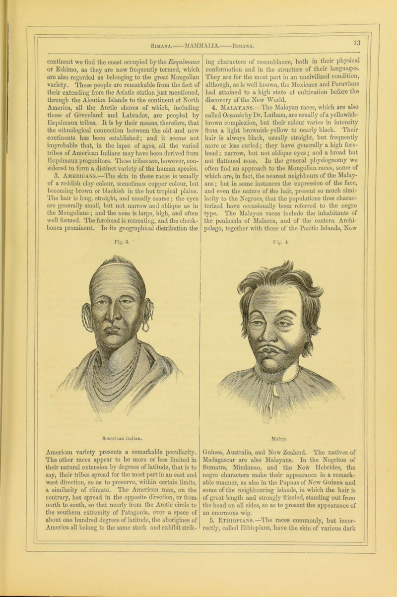 continent we find the coast occupied by the Esquimaux or Eskimo, as they are now frequently termed, which are also regarded as belonging to the great Mongolian variety. These people are remarkable from the fact of their extending from the Asiatic station just mentioned, through the Aleutian Islands to the continent ot North America, all the Arctic shores of which, including those of Greenland and Labrador, are peopled by Esquimaux tribes. It is by their means, therefore, that the ethnological connection between the old and new continents has been established; aud it seems not improbable that, in the lapse of ages, all the varied tribes of American Indians may have been derived from Esquimaux progenitors. These tribes are, however, con- sidered to form a distinct variety of the human species. 3. Americans.—The skin in these races is usually of a reddish clay colour, sometimes copper colour, but becoming brown or blackish in the hot tropical plains. The hair is long, straight, and usually coarse ; the eyes are generally small, but not narrow and oblique as in the Mongolians; and the nose is large, high, and often well formed. The forehead is retreating, and the cheek- bones prominent. In its geographical distribution the ing characters of resemblance, both in their physical conformation and in the structure of their languages. They are for the most part in an uncivilized condition, although, as is well known, the Mexicans and Peruvians had attained to a high state of cultivation before the discoveiy of the New World. 4. Malayans.—The Malayan races, which are also called Oceanic by Dr. Latham, are usually of a yellowish- brown complexion, but their colour varies in intensity from a light brownish-yellow to nearly black. Their hair is always black, usually straight, but frequently more or less curled; they have generally a high fore- head ; narrow, but not oblique eyes ; and a broad but not flattened nose. In the general physiognomy we often find an approach to the Mongolian races, some of which are, in fact, the nearest neighbours of the Malay- ans ; but in some instances the expression of the face, and even the nature of the hair, present so much simi- larity to the Negroes, that the populations thus charac- terized have occasionally been referred to the negro type. The Malayan races include the inhabitants of the peninsula of Malacca, and of the eastern Archi- pelago, together with those of the Pacific Islands, New Fi{J. 3. Malay. Guinea, Australia, aud New Zealand. The natives of Madagascar are also Malayans. In the Negritos of Sumatra, Mindanao, and the New Hebrides, the negro characters make their appearance in a remark- able manner, as also in the Papuas of New Guinea and some of the neighbouring islands, in which the hair is of great length and strongly frizzled, standing out from the head on all sides, so as to present the appearance of an enormous wig. 5. Ethiopians.—The races commonly, but incor- rectly, called Ethiopians, have the skin of various dark American Indian. American variety presents a remarkable peculiarity. The other races appear to be more or less limited in their natural extension by degrees of latitude, that is to say, their tribes spread for the most part in an east and west direction, so as to preserve, within certain limits, a similarity of climate. The American man, on the contrary, has spread in the opposite direction, or from north to south, so that nearly from the Arctic circle to the southern extremity of Patagonia, over a space of about one hundred degrees of latitude, the aborigines of America all belong to the same stock and exhibit strik-