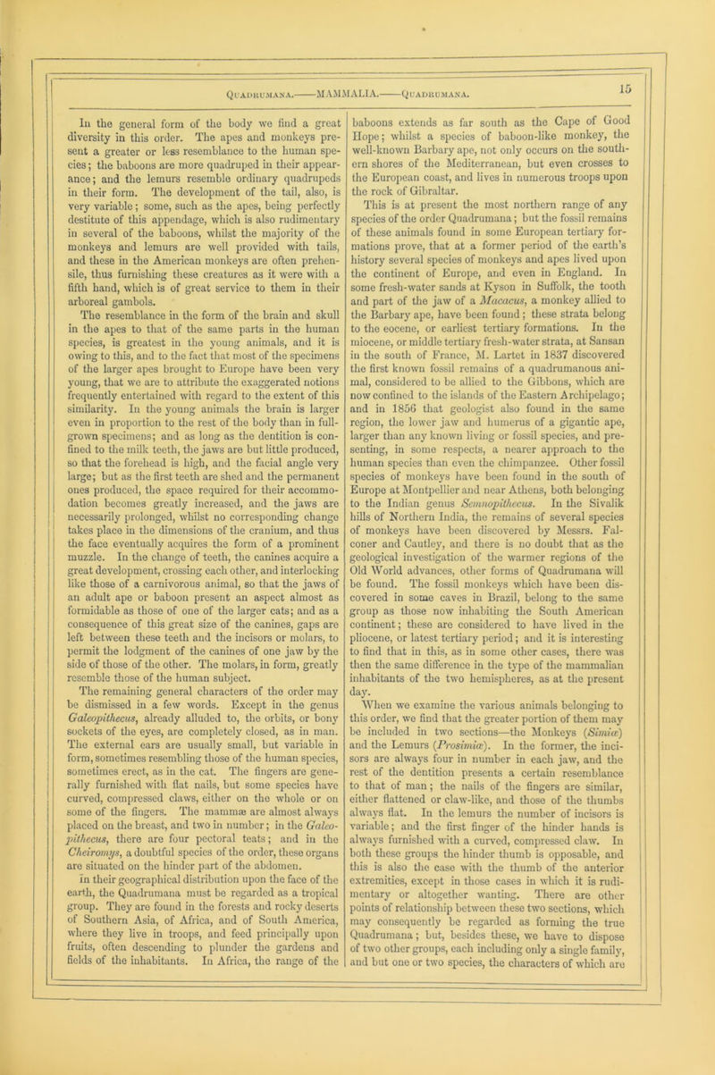 In the general form of the body we find a great diversity in this order. The apes and monkeys pre- sent a greater or less resemblance to the human spe- cies ; the baboons are more quadruped in their appear- ance; and the lemurs resemble ordinary quadrupeds in their form. The development of the tail, also, is very variable; some, such as the apes, being perfectly destitute of this appendage, which is also rudimentary in several of the baboons, whilst the majority of the monkeys and lemurs are well provided with tails, and these in the American monkeys are often prehen- sile, thus furnishing these creatures as it were with a fifth hand, which is of great service to them in their arboreal gambols. The resemblance in the form of the brain and skull in the apes to that of the same parts in the human species, is greatest in the young animals, and it is owing to this, and to the fact that most of the specimens of the larger apes brought to Europe have been very young, that we are to attribute the exaggerated notions frequently entertained with regard to the extent of this similarity. In the young animals the brain is larger even in proportion to the rest of the body than in full- grown specimens; and as long as the dentition is con- fined to the milk teeth, the jaws are but little produced, so that the forehead is high, and the facial angle very large; but as the first teeth are shed and the permanent ones produced, the space required for their accommo- dation becomes greatly increased, and the jaws are necessarily prolonged, whilst no corresponding change takes place in the dimensions of the cranium, and thus the face eventually acquires the form of a prominent muzzle. In the change of teeth, the canines acquire a great development, crossing each other, and interlocking like those of a carnivorous animal, so that the jaws of an adult ape or baboon present an aspect almost as formidable as those of one of the larger cats; and as a consequence of this great size of the canines, gaps are left between these teeth and the incisors or molars, to permit the lodgment of the canines of one jaw by the side of those of the other. The molars, in form, greatly resemble those of the human subject. The remaining general characters of the order may be dismissed in a few words. Except in the genus Galeopithecus, already alluded to, the orbits, or bony sockets of the eyes, are completely closed, as in man. The external ears are usually small, but variable in form, sometimes resembling those of the human species, sometimes erect, as in the eat. The fingers are gene- rally furnished with flat nails, but some species have curved, compressed claws, either on the whole or on some of the fingers. The mammae are almost always placed on the breast, and two in number; in the Galeo- pithecus, there are four pectoral teats; and in the Cheiromys, a doubtful species of the order, these organs are situated on the hinder part of the abdomen. in their geographical distribution upon the face of the earth, the Quadrumana must be regarded as a tropical group. They are found in the forests and rocky deserts of Southern Asia, of Africa, and of South America, where they live in troops, and feed principally upon fruits, often descending to plunder the gardens and fields of the inhabitants. In Africa, the range of the baboons extends as far south as the Cape of Good Hope; whilst a species of baboon-like monkey, the well-known Barbary ape, not only occurs on the south- ern shores of the Mediterranean, but even crosses to the European coast, and lives in numerous troops upon the rock of Gibraltar. This is at present the most northern range of any species of the order Quadrumana; but the fossil remains of these animals found in some European tertiary for- mations prove, that at a former period of the earth’s history several species of monkeys and apes lived upon the continent of Europe, and even in England. In some fresh-water sands at Ivyson in Suffolk, the tooth and part of the jaw of a Macacus, a monkey allied to the Barbary ape, have been found ; these strata belong to the eocene, or earliest tertiary formations. In the miocene, or middle tertiary fresh-water strata, at Sansan in the south of France, M. Lartet in 1837 discovered the first known fossil remains of a quadrumanous ani- mal, considered to be allied to the Gibbons, which are now confined to the islands of the Eastern Archipelago; and in 1856 that geologist also found in the same region, the lower jaw and humerus of a gigantic ape, larger than any known living or fossil species, and pre- senting, in some respects, a nearer approach to the human species than even the chimpanzee. Other fossil species of monkeys have been found in the south of Europe at Montpellier and near Athens, both belonging to the Indian genus Semnopithecus. In the Sivalik hills of Northern India, the remains of several species of monkeys have been discovered by Messrs. Fal- coner and Cautley, and there is no doubt that as the geological investigation of the warmer regions of the Old World advances, other forms of Quadrumana will be found. The fossil monkeys which have been dis- covered in some caves in Brazil, belong to the same group as those now inhabiting the South American continent; these are considered to have lived in the pliocene, or latest tertiary period; and it is interesting to find that in this, as in some other cases, there was then the same difference in the type of the mammalian inhabitants of the two hemispheres, as at the present day. When we examine the various animals belonging to this order, we find that the greater portion of them may be included in two sections—the Monkeys (Simla:) and the Lemurs (Prosimice). In the former, the inci- sors are always four in number in each jaw, and the rest of the dentition presents a certain resemblance to that of man; the nails of the fingers are similar, either flattened or claw-like, and those of the thumbs always flat. In the lemurs the number of incisors is variable; and the first finger of the hinder hands is always furnished with a curved, compressed claw. In both these groups the hinder thumb is opposable, and this is also the case with the thumb of the anterior extremities, except in those cases in which it is rudi- mentary or altogether wanting. There are other points of relationship between these two sections, which may consequently be regarded as forming the true Quadrumana; but, besides these, we have to dispose of two other groups, each including only a single family, and but one or two species, the characters of which are