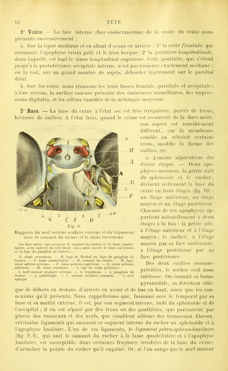 1° Voûte. — La face interne (face endocranienne) de la voûte du crâne nous présente successivement : a. Sur la ligne médiane et en allant d’avant en arrière : 1° la crête frontale. qui surmonte l’apophyse crista galli et le trou borgne; 2° la gouttière longitudinale, dans laquelle est logé le sinus longitudinal supérieur. Cette gouttière, qui s’étend jusqu’à la protubérance occipitale interne, n’est pas toujours exactement médiane : on la voit, sur un grand nombre de sujets, déborder légèrement sur le pariétal droit. b. Sur les côtés, nous trouvons les trois fosses frontale, pariétale et occipitale ; à leur niveau, la surface osseuse présente des éminences mamillaires, des impres- sions digitales, et les sillons ramifiés de la méningée moyenne. 2° Base. — La base du crâne à l’état sec est très irrégulière, percée de trous, hérissée de saillies. A l’état frais, quand le crâne est recouvert de la dure-mère. son aspect est sensiblement différent, car la membrane comble ou rétrécit certains trous, modifie la forme des saillies, etc. a. Limites séparatives des divers étages. — Deux apo- physes osseuses, la petite aile du sphénoïde et le rocher, divisent nettement la base du crâne en trois étages (fig. 10) : un étage antérieur, un étage moyen et un étage postérieur. Chacune de ces apophyses ap- partient naturellement à deux étages à la fois : la petite aile, à l’étage antérieur et à l’étage moyen ; le rocher, à l’étage moyen par sa face antérieure, à l’étage postérieur par sa face postérieure. Des deux saillies osseuses précitées, le rocher seul nous intéresse. On connaît sa forme pyramidale, sa direction obli- que de dehors en dedans, d’arrière en avant et de bas en haut, ainsi que les con- nexions qu’il présente. Nous rappellerons que, fusionné avec le temporal par sa base et sa moitié externe, il est, par son segment interne, isolé du sphénoïde et de l’occipital ; il en est séparé par des trous ou des gouttières, que parcourent par- places des vaisseaux et des nerfs, que comblent ailleurs des trousseaux fibreux, véritables ligaments qui unissent ce segment interne du rocher au sphénoïde et à l’apophyse basilaire. L’un de ces ligaments, le ligament pétro-sphéno-basilaire (fig. 9, E), qui unit le sommet du rocher à la lame quadrilatère et à l’apophyse basilaire, est susceptible, dans certaines fractures irradiées de la base du crâne, d’arracher la pointe du rocher qu’il engaine. Or, si l’on songe que le nerf moteur Fig. 9. Rapports du nerf moteur oculaire externe et du trijumeau avec le sommet du rocher et le sinus caverneux. (La dure-mère, qui recouvre le sommet du rocher et la lame quadri- latère, a été enlevée du côté droit : on a ainsi ouvert le sinus caverneux et la loge du ganglion de Gasser.) A, sinus caverneux. — B, loge de Meckel ou loge du ganglion de Gasser. — C, lame quadrilatère. — D, sommet du rocher. — E. liga- ment sphéno-pétreux. — F, sinus pétreux supérieur. — G, sinus pélreux inférieur. — H, sinus coronaire. — 7, tige du corps pituitaire. 1, nerf moteur oculaire externe. — 2, trijumeau. — 3, ganglion de Gasser. — 4, pathétique. — 5, moteur oculaire commun. — 6, nerf optique.