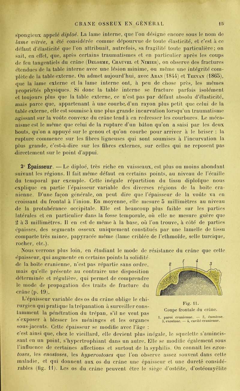 spongieux appelé diploé. La lame interne, que l’on de'signe encore sous le nom de lame vitrée, a été considérée comme dépourvue de toute élasticité, et c’est à ce défaut d’élasticité que l’on attribuait, autrefois, sa fragilité toute particulière; on sait, en effet, que, après certains traumatismes et en particulier après les coups de feu tangentiels du crâne (Delorme, Chauvel et Nimier), on observe des fractures étendues de la table interne avec une lésion minime, ou même une intégrité com- plète de la table externe. On admet aujourd’hui, avec Aran (1844) et Teevan (1865), que la lame externe et la lame interne ont, à peu de chose près, les mêmes propriétés physiques. Si donc la- table interne se fracture parfois isolément et toujours plus que la table externe, ce n’est pas par défaut absolu d’élasticité, mais parce que, appartenant à une courbe, d’un rayon plus petit que celui de la table externe, elle est soumise à une plus grande incurvation lorsqu’un traumatisme naissant sur la voûte convexe du crâne tend à en redresser les courbures. Le méea- nisme est le même que celui de la rupture d’un bâton qu’on a saisi par les deux bouts, qu’on a appuyé sur le genou et qu’on courbe pour arriver à le briser : la rupture commence sur les fibres ligneuses qui sont soumises à l’incurvation la plus grande, c’est-à-dire sur les fibres externes, sur celles qui ne reposent pas directement sur le point d’appui. 2° Épaisseur. —Le diploé, très riche en vaisseaux, est plus ou moins abondant suivant les régions. Il fait même défaut en certains points, au niveau de l’écaille du temporal par exemple. Cette inégale répartition du tissu diploïque nous explique en partie l’épaisseur variable des diverses régions de la boite crâ- nienne. D’une façon générale, on peut dire que l’épaisseur de la voûte va en croissant du frontal à l’inion. En moyenne, elle mesure o millimètres au niveau de la protubérance occipitale. Elle est beaucoup plus faible sur les parties latérales et en particulier dans la fosse temporale, où elle ne mesure guère que â à 3 millimètres. Il en est de même à la base, où l’on trouve, à côté de parties épaisses, des segments osseux uniquement constitués par une lamelle de tissu compacte très mince, papyracée même (lame criblée de l’ethmoïde, selle turcique, rocher, etc.). Nous verrons plus loin, en étudiant le mode de résistance du crâne que cette épaisseur, qui augmente en certains points la solidité de la boîte crânienne, n’est pas répartie sans ordre, mais qu’elle présente au contraire une disposition déterminée et régulière, qui permet de comprendre le mode de propagation des traits de fracture du -crâné (p. 19). L’épaisseur variable des os du crâne oblige le chi- rurgien qui pratique la trépanation à surveiller cons- tamment la pénétration du trépan, s’il ne veut pas s’exposer à blesser les méninges et les organes sous-jacents. Cette épaisseur se modifie avec l’âge : c’est ainsi que, chez le vieillard, elle devient plus inégale, le squelette s’amincis- sant en un point, s’hypertrophiant dans un autre. Elle se modifie également sous l’influence de certaines affections et surtout de la syphilis. On connaît les exos- toses, les enosloses, les hyperostoses que l’on observe assez souvent dans cette maladie, et qui donnent aux os du crâne une épaisseur et une dureté considé- rables (fig. 11). Les os du crâne peuvent être le siège d’ostéite, d’ostéomyélite Fig. il. Coupe frontale du crâne. 1. paroi crânienne. — 2, énostose. 3, exostose. — 4, cavité crânienne.