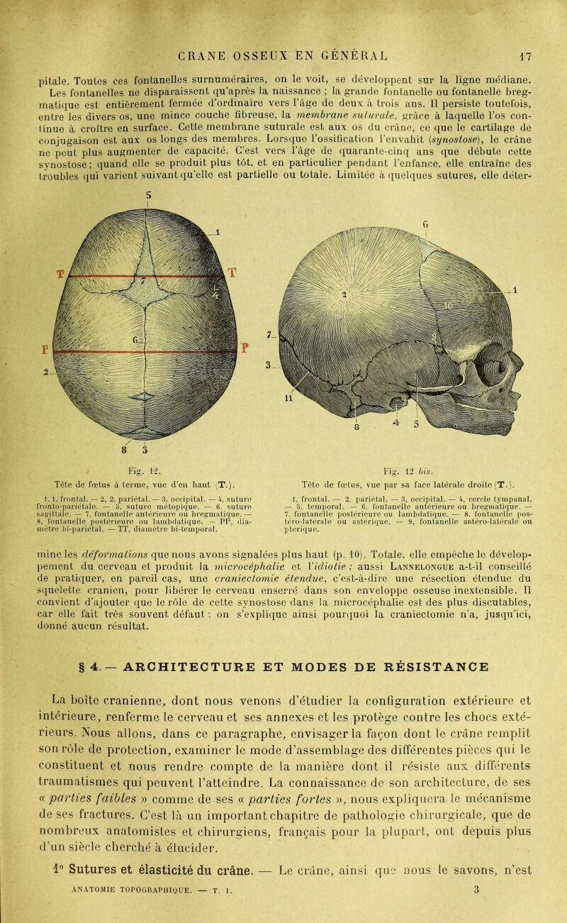 pitale. Toutes ces fontanelles surnuméraires, on le voit, se développent sur la ligne médiane. Les fontanelles ne disparaissent qu’après la naissance ; la grande fontanelle ou fontanelle breg- matique est entièrement fermée d’ordinaire vers l’âge de deux à trois ans. Il persiste toutefois, entre les divers os, une mince couche fibreuse, la membrane suturale, grâce à laquelle l’os con- tinue à croître en surface. Cette membrane suturale est aux os du crâne, ce que le cartilage de conjugaison est aux os longs des membres. Lorsque l’ossification l’envahit (synostose), le crâne ne peut plus augmenter de capacité. C’est vers l’âge de quarante-cinq ans que débute cette synostose ; quand elle se produit plus tôt. et en particulier pendant l’enfance, elle entraîne des troubles qui varient suivant qu’elle est partielle ou totale. Limitée à quelques sutures, elle déter- 5 Fig. 12. Tète de fœtus à terme, vue d’en haut (T.). 1,1, frontal. — 2, 2, pariétal. — 3, occipital. — 4, suture fronto-pariétale. — 3, suture métopique. — 6. suture sagittale. — 7, fontanelle antérieure ou bregmatique. — 8, fontanelle postérieure ou lambdatique. — PP, dia- mètre bi-pariétal. — TT, diamètre bi-temporal. Fig. 12 bis. Tête de fœtus, vue par sa face latérale droite (T.). 1, frontal. — 2, pariétal. — 3, occipital. — 4, cercle tympanal. — 5. temporal. — 6. fontanelle antérieure ou bregmatique. — 7. fontanelle postérieure ou lambdatique. — 8. fontanelle pos- téro-latérale ou astérique. — 9, fontanelle antéro-latérale ou ptérique. mine les déformations que nous avons signalées plus haut (p. 10). Totale, elle empêche le dévelop- pement du cerveau et produit la microcéphalie et Yidiotie ; aussi Lannelongue a-t-il conseillé de pratiquer, en pareil cas, une craniectomie étendue, c’est-à-dire une résection étendue du squelette crânien, pour libérer le cerveau enserré dans son enveloppe osseuse inextensible. Il convient d’ajouter que le rôle de cette synostose dans la microcéphalie est des plus discutables, car elle fait très souvent défaut : on s’explique ainsi pourquoi la craniectomie n’a, jusqu’ici, donné aucun résultat. § 4 — ARCHITECTURE ET MODES DE RÉSISTANCE La boîte crânienne, dont nous venons d’étudier la configuration extérieure et intérieure, renferme le cerveau et ses annexes et les protège contre les chocs exté- rieurs. Nous allons, dans ce paragraphe, envisager la façon dont le crâne remplit son rôle de protection, examiner le mode d’assemblage des différentes pièces qui le constituent et nous rendre compte de la manière dont il résiste aux différents traumatismes qui peuvent l’atteindre. La connaissance de son architecture, de ses « parties faibles » comme de ses « parties fortes », nous expliquera le mécanisme de ses fractures. C’est là un important chapitre de pathologie chirurgicale, que de nombreux anatomistes et chirurgiens, français pour la plupart, ont depuis plus d’un siècle cherché à élucider. 1° Sutures et élasticité du crâne. — Le crâne, ainsi que nous le savons, n’est ANATOMIE TOPOGRAPHIQUE. — T. I. 3