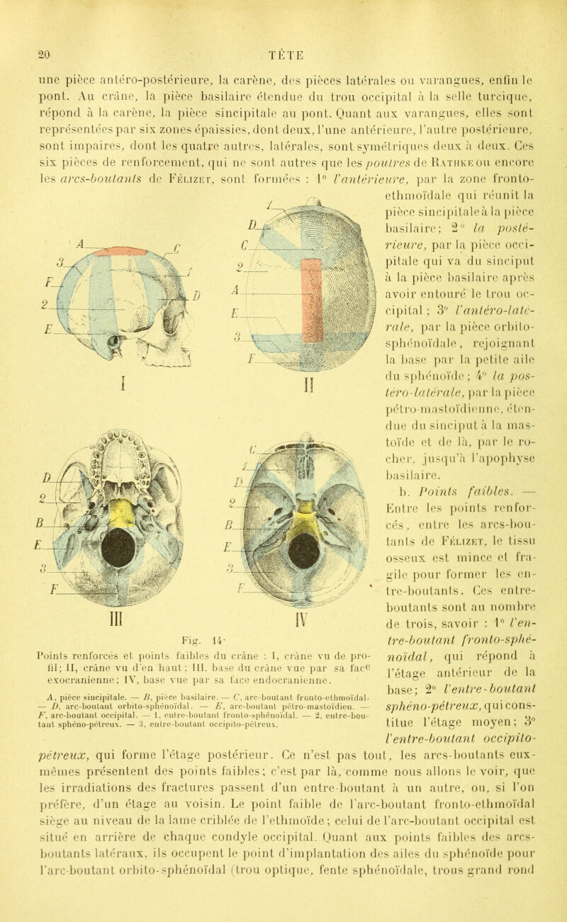 une pièce antéro-postérieure, la carène, des pièces latérales ou varangues, enfin le pont. Au crâne, la pièce basilaire étendue du trou occipital à la selle turcique, répond à la carène, la pièce sincipitale au pont. Quant aux varangues, elles sont représentées par six zones épaissies, dont deux, l’une antérieure, l’autre postérieure, sont impaires, dont les quatre autres, latérales, sont symétriques deux à deux. Ces six pièces de renforcement, qui ne sont autres que les poutres de Rathke ou encore les arcs-boutants de Félizet, sont formées : 1° Vantérieure, par la zone fronto- ethmoïdale qui réunit la pièce sincipitale à la pièce basilaire; 2° la posté- rieure, par la pièce occi- pitale qui va du sinciput à la pièce basilaire après avoir entouré le trou oc- cipital ; 3° Vantéro-laté- rale, par la pièce orbito- sphénoïdale, rejoignant la base par la petite aile du sphénoïde ; 4° la pos- téro-latérale, par la pièce pétro-mastoïdienne, éten- due du sinciput à la mas- toïde et de là, par le ro- cher, jusqu’à l’apophyse basilaire. b. Points faibles. — Entre les points renfor- cés, entre les arcs-bou- tants de Félizet, le tissu osseux est mince et fra- gile pour former les en- tre-boutants. Ces entre- boutants sont au nombre de trois, savoir : 1° Ven- tre-boutant fronto-splié- noïdal, qui répond à l’étage antérieur de la base; 2° Ventre-boutant sphéno-pétreux, (\ui cons- titue l’étage moyen; 3° Ventre-boulant occipito- pétreux, qui forme l’étage postérieur. Ce n’est pas tout, les arcs-boutants eux- mêmes présentent des points faibles; c’est par là, comme nous allons le voir, que les irradiations des fractures passent d’un entre-boutant à un autre, ou, si l’on préfère, d’un étage au voisin. Le point faible de l’arc-boutant fronto-ethmoïdal siège au niveau de la lame criblée de l’ethmoïde ; celui de l’arc-boutant occipital est situé en arrière de chaque condyle occipital. Quant aux points faibles des arcs- boutants latéraux, ils occupent le point d’implantation des ailes du sphénoïde pour l’arc-boutant orbito-sphénoïdal (trou optique, fente sphénoïdale, trous grand rond III IV Fig. 14- Points renforcés et points faibles du crâne : I, crâne vu de pro- fil; II, crâne vu d’en haut; III. base du crâne vue par sa face exocranienne ; IV, base vue par sa face endocranienne. A. pièce sincipitale. — B, pièce basilaire. — C, arc-boutant fronto-ethmoïdal- — D, arc-boutant orbito-sphénoïdal. — E, arc-boutant pétro-mastoïdicn. — F, arc-boutant occipital. — 1. entre-boutant fronto-sphénoïdal. — 2, entre-bou- tant sphéno-pétreux. — 3, entre-boutant occipito-pélreux.