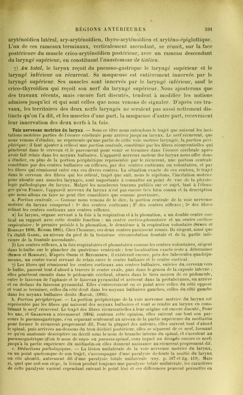 aryténoïdien latéral, ary-aryténoïdien, thyro-aryténoïdien et aryténo-épiglottique. LJun de ces rameaux terminaux, verticalement ascendant, se réunit, sur la face postérieure du muscle crico-aryténoïdien postérieur, avec un rameau descendant du laryngé supérieur, en constituant Y anastomose de Galien. i) Au total, le larynx reçoit du pneumo-gastrique le laryngé supérieur et le laryngé inférieur ou récurrent. Sa muqueuse est entièrement innervée par le laryngé supérieur. Ses muscles sont innervés par le laryngé inférieur, sauf le crico-thyroïdien qui reçoit son nerf du laryngé supérieur. Nous ajouterons que des travaux récents, mais encore fort discutés, tendent à modifier les notions admises jusqu’ici et qui sont celles que nous venons de signaler. D’après ces tra- vaux, les territoires des deux nerfs laryngés ne seraient pas aussi nettement dis- tincts qu’on l’a dit, et les muscles d’une part, la muqueuse d’autre part, recevraient leur innervation des deux nerfs à la fois. Voie nerveuse motrice du larynx. — Sous ce titre nous entendons le trajet que suivent les inci- tations motrices parties de l'écorce cérébrale pour arriver jusqu’au larynx. Le nerf récurrent, que nous venons d'étudier, ne représente qu’une partie de cette voie motrice laryngée, la jiortion péri- phérique; il faut ajouter à celle-ci une portion centrale, constituée par les fibres récurrentielles qui pénètrent dans le cerveau et le parcourent pour venir se terminer dans l'écorce cérébrale après avoir fait relais dans les noyaux bulbaires. L'appareil nerveux moteur des larynx nous offre donc à étudier, en plus de la portion périphérique représentée par le récurrent, une portion centrale constituée par des centres bulbaires ou réflexes, par des centres corticaux ou volontaires, et par les fibres qui réunissent entre eux ces divers centres. La situation exacte de ces centres, le trajet dans le cerveau des fibres qui les relient, trajet que suit, nous le répétons, l'incitation motrice pour aboutir aux muscles laryngés, sont importants à connaître au point de vue de la physio- logie pathologique du larynx. Malgré les nombreux travaux publiés sur ce sujet, tant à l'étran- ger qu'en France, l'appareil nerveux du larynx n’est pas encore très bien connu et la description que nous allons en faire ne peut être considérée que comme provisoire. a. Portion centrale. — Gomme nous venons de le dire, la portion centrale de la voie nerveuse motrice du larynx comprend : 1° des centres corticaux ; 2° des centres réflexes ; 3° des fibres reliant les centres corticaux aux centres réflexes. a) Le larynx, organe servant à la fois à la respiration et à la phonation, a un double centre cor- tical en rapport avec cette double fonction : un centre cortico-phonatoire et un centre cortico- respiratoire ; le premier préside à la phonation, le deuxième à la respiration volontaire (Semon et Horsley 1890, Russel 1895). Chez l'homme, ces deux centres paraissent réunis. Ils siègent, ainsi que l'a établi Garel, au niveau du pied de la troisième circonvolution frontale et de la partie infé- rieure de la frontale ascendante. P) Les centres réflexes, à la fois respiratoires et phonatoires comme les centres volontaires, siègent dans le bulbe sur le plancher du quatrième ventricule : leur localisation exacte reste à déterminer (Semon et Horsley). D'après Onodi et Betcherew, il existerait encore, près des tubercules quadriju- meaux, un centre vocal servant de relais entre le centre bulbaire et le centre cortical. y) Les fibres qui réunissent les centres corticaux aux centres bulbaires, suivies du. cerveau vers le bulbe, passent tout d'abord à travers le centre ovale, puis dans le genou de la capsule interne ; elles pénètrent ensuite dans le pédoncule cérébral, situées dans le tiers moyen de ce pédoncule, entre le faisceau de l’aphasie et le faisceau pyramidal et arrivent dans la protubérance, en arrière et en dedans du faisceau pyramidal. Elles s'entrecroisent en ce point avec celles du côté opposé et vont se terminer, celles du côté droit dans les noyaux bulbaires gauches, celles du côté gauche dans les noyaux bulbaires droits (Raugé, (1895). b. Portion périphérique. — La portion périphérique de la voie nerveuse motrice du larynx est représentée par les fibres qui naissent des noyaux bulbaires et vont se rendre au larynx en cons- tituant le nerf récurrent. Le trajet des fibres récurrentielles à leur origine est encore discuté. Pour les uns, et Grabower a récemment (1894) soutenu cette opinion, elles suivent sur tout son par- cours le pneumogastrique, s’en séparant seulement au niveau de la partie supérieure du médiastin pour former le récurrent proprement dit. Pour la plupart des auteurs, elles suivent tout d'abord le spinal, puis arrivées au-dessous du trou déchiré postérieur, elles se séparent de ce nerf, formant ce qu'en anatomie descriptive on décrit sous le nom de branche interne du spinal, et s’accolent au pneumogastrique (d’où le nom de vaqo- ou pneumo-spinal, sous lequel on désigne encore ce nerf) jusqu'à la partie supérieure du médiastin où elles donnent naissance au récurrent proprement dit. c. Déductions pathologiques. — La lésion unilatérale de la voie nerveuse motrice du larynx, en un point quelconque de son trajet, s'accompagne d'une paralysie dertoute la moitié du larynx où elle aboutit, autrement dit d’une paralysie totale unilatérale ivoy. p. 587 et 11g. 419). Mais si, quel que soit son siège, la lésion produit toujours une paralysie totale unilatérale, les caractères de cette paralysie varient cependant suivant le point lésé et ces différences peuvent permettre en