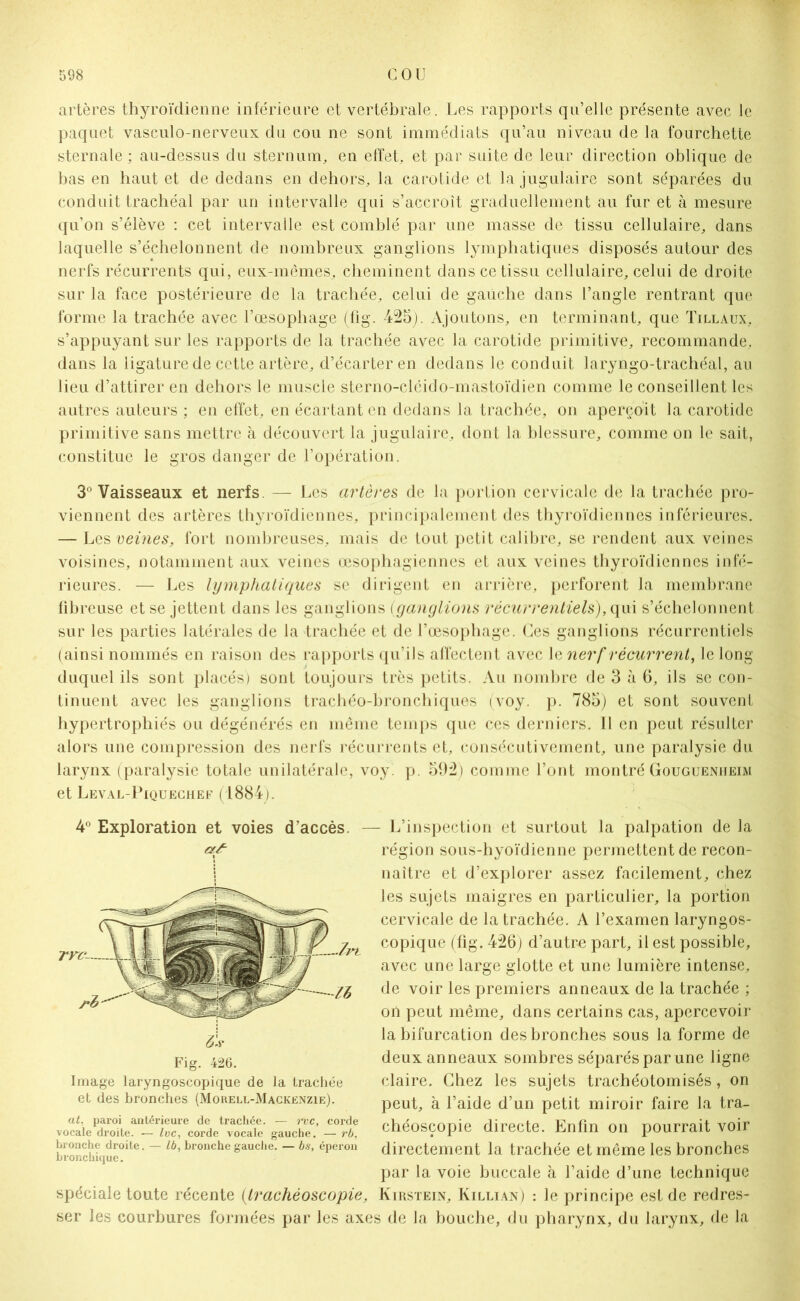 artères thyroïdienne inférieure et vertébrale. Les rapports qu’elle présente avec le paquet vasculo-nerveux du cou ne sont immédiats qu’au niveau de la fourchette sternale ; au-dessus du sternum, en effet, et par suite de leur direction oblique de bas en haut et de dedans en dehors, la carotide et la jugulaire sont séparées du conduit trachéal par un intervalle qui s’accroît graduellement au fur et à mesure qu’on s’élève : cet intervalle est comblé par une masse de tissu cellulaire, dans laquelle s’échelonnent de nombreux ganglions lymphatiques disposés autour des nerfs récurrents qui, eux-mêmes, cheminent dans ce tissu cellulaire, celui de droite sur la face postérieure de la trachée, celui de gauche dans l’angle rentrant que forme la trachée avec l’œsophage (fig. 425). Ajoutons, en terminant, que Tillaux, s’appuyant sur les rapports de la trachée avec la carotide primitive, recommande, dans la ligature de cette artère, d’écarter en dedans le conduit laryngo-trachéal, au lieu d’attirer en dehors le muscle sterno-cléido-mastoïdien comme le conseillent les autres auteurs ; en effet, en écartant en dedans la trachée, on aperçoit la carotide primitive sans mettre à découvert la jugulaire, dont la blessure, comme on le sait, constitue le gros danger de l’opération. 3° Vaisseaux et nerfs. — Les artères de la portion cervicale de la trachée pro- viennent des artères thyroïdiennes, principalement des thyroïdiennes inférieures. — Les veines, fort nombreuses, mais de tout petit calibre, se rendent aux veines voisines, notamment aux veines œsophagiennes et aux veines thyroïdiennes infé- rieures. — Les lymphatiques se dirigent en arrière, perforent la membrane fibreuse et se jettent dans les ganglions (ganglions récurrentiels), qui s’échelonnent sur les parties latérales de la trachée et de l’œsophage. Ces ganglions récurrentiels (ainsi nommés en raison des rapports qu’ils affectent avec le nerf récurrent, le long duquel ils sont placés) sont toujours très petits. Au nombre de 3 à 6, ils se con- tinuent avec les ganglions trachéo-bronchiques (voy. p. 785) et sont souvent hypertrophiés ou dégénérés en même temps que ces derniers. Il en peut résulter alors une compression des nerfs récurrents et, consécutivement, une paralysie du larynx (paralysie totale unilatérale, voy p. 592) comme l’ont montré Gouguenheim et Leval-Piquechef (1884 ). 4° Exploration et voies d’accès. — L’inspection et surtout la palpation de la région sous-hyoïdienne permettent de recon- naître et d’explorer assez facilement, chez les sujets maigres en particulier, la portion cervicale de la trachée. A l’examen laryngos- copique (fig. 426) d’autre part, il est possible, avec une large glotte et une lumière intense, de voir les premiers anneaux de la trachée ; on peut même, dans certains cas, apercevoir la bifurcation des bronches sous la forme de deux anneaux sombres séparés par une ligne claire. Chez les sujets trachéotomisés, on peut, à l’aide d’un petit miroir faire la tra- chéoscopie directe. Enfin on pourrait voir directement la trachée et même les bronches par la voie buccale à l’aide d’une technique spéciale toute récente (trachéoscopie, Kirstein, Killian) : le principe est de redres- ser les courbures formées par les axes de la bouche, du pharynx, du larynx, de la À Fig. 426. Image laryngoscopique de la trachée et des bronches (Morell-Mackenzie). at, paroi antérieure de trachée. — i*oc, corde vocale droite. — Ivc, corde vocale gauche. — rb, bronche droite. — Ib, bronche gauche. — bs, éperon bronchique.