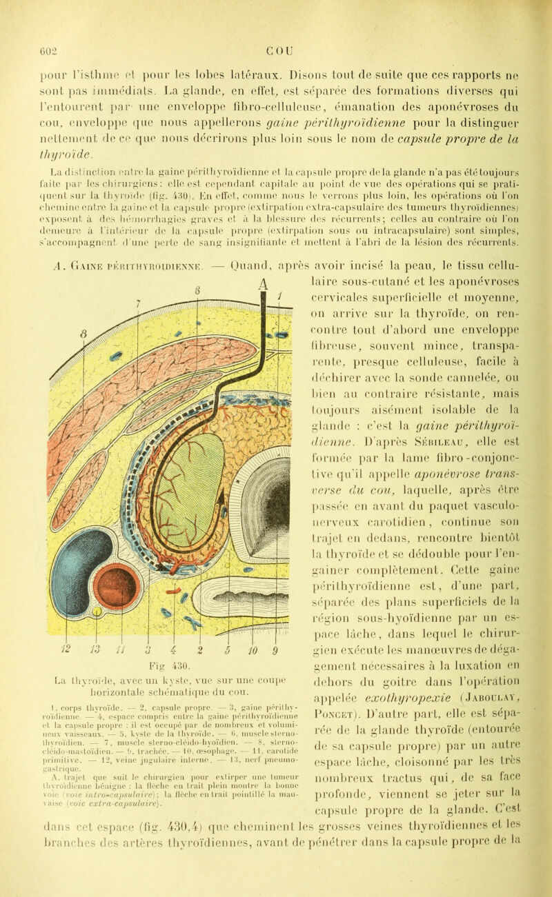 pour l’isthme cl pour les lobes latéraux. Disons tout de suite que ces rapports ne sont pas immédiats. La glande, en effet, est séparée des formations diverses qui l’entourent par une enveloppe fibro-celluleuse, émanation des aponévroses du cou, enveloppe que nous appellerons gaine périthyroïdienne pour la distinguer nettement de ce que nous décrirons plus loin sous le nom de capsule propre de la thyroïde. La distinction entre la gaine périthyroïdienne et, la capsule propre delà glande n’a pas été toujours laite par les chirurgiens: elle est cependant capitale au point de vue des opérations qui se prati- quent sur la thyroïde (fîg. 480). En effet, comme nous le verrons plus loin, les opérations où l'on chemine entre la gaine et la capsule propre (extirpation extra-capsulaire des tumeurs thyroïdiennes) exposent à des hémorrhagies graves et à la blessure des récurrents; celles au contraire où l’on demeure à. l’intérieur de la capsule propre (extirpation sous ou intracapsulaire) sont simples, s’accompagnent d une perte de sang insignifiante et mettent à l’abri de la lésion des récurrents. A. Gaine périthyroïdienne. — Quand, après avoir incisé la peau, le tissu cellu- 12 13 11 3 4 2 5 10 9 Fig 430. La thyroïde, avec un kyste, vue sur une coupe horizontale schématique du cou. 1. corps thyroïde. — 2, capsule propre. — 3, gaine périihy- roïdienne. — 4, espace compris entre la gaine périthyroïdienne et la capsule propre : il est occupé par de nombreux et volumi- neux vaisseaux. — 5, kyste de la thyroïde. — 6, muscle sterno- Ihvroïdien. — 7, muscle sterno-cléido-hyoïdien. — 8, sterno- cléido-mastoïdien. — 0, trachée. — 10, œsophage. — 11, carotide primitive. •— 12, veine jugulaire interne. — 13, nerf pneumo- gastrique. A. trajet que suit le chirurgien pour extirper une tumeur thyroïdienne bénigne : la lléchc en Irait plein montre la bonne voie (voie intra+capsulaire) ; la llèche entrait pointillé la mau- vaise (voie extra-capsulaire). dans cet espace (fig. 430,4) que cheminent 1 branches des artères thyroïdiennes, avant d» laire sous-cutané et les aponévroses cervicales superficielle et moyenne, on arrive sur la thyroïde, on ren- contre tout d’abord une enveloppe fibreuse, souvent mince, transpa- rente, presque celluleuse, facile à déchirer avec la sonde cannelée, ou bien au contraire résistante, mais toujours aisément isolable de la glande : c’est la gaine périthyroï- dienne. D’après Sébileau, elle est formée par la lame fibro-conjonc- tive qu’il appelle aponévrose trans- verse du cou, laquelle, après être passée en avant du paquet vasculo- uerveux carotidien, continue son trajet en dedans, rencontre bientôt la thyroïde et se dédouble pour ren- gainer complètement. Cette gaine périthyroïdienne est, d’une part, séparée des plans superficiels de la région sous-hyoïdienne par un es- pace lâche, dans lequel le chirur- gien exécute les manoeuvres de déga- gement nécessaires à la luxation en dehors du goitre dans l’opération appelée exothyropexie (Jaboulay, Poncet). D’autre part, elle est sépa- rée de la glande thyroïde (entourée de sa capsule propre) par un autre espace lâche, cloisonné par les très nombreux tractus qui, de sa face profonde, viennent se jeter sur la capsule propre de la glande. C’est es grosses veines thyroïdiennes et les ; pénétrer dans la capsule propre de la