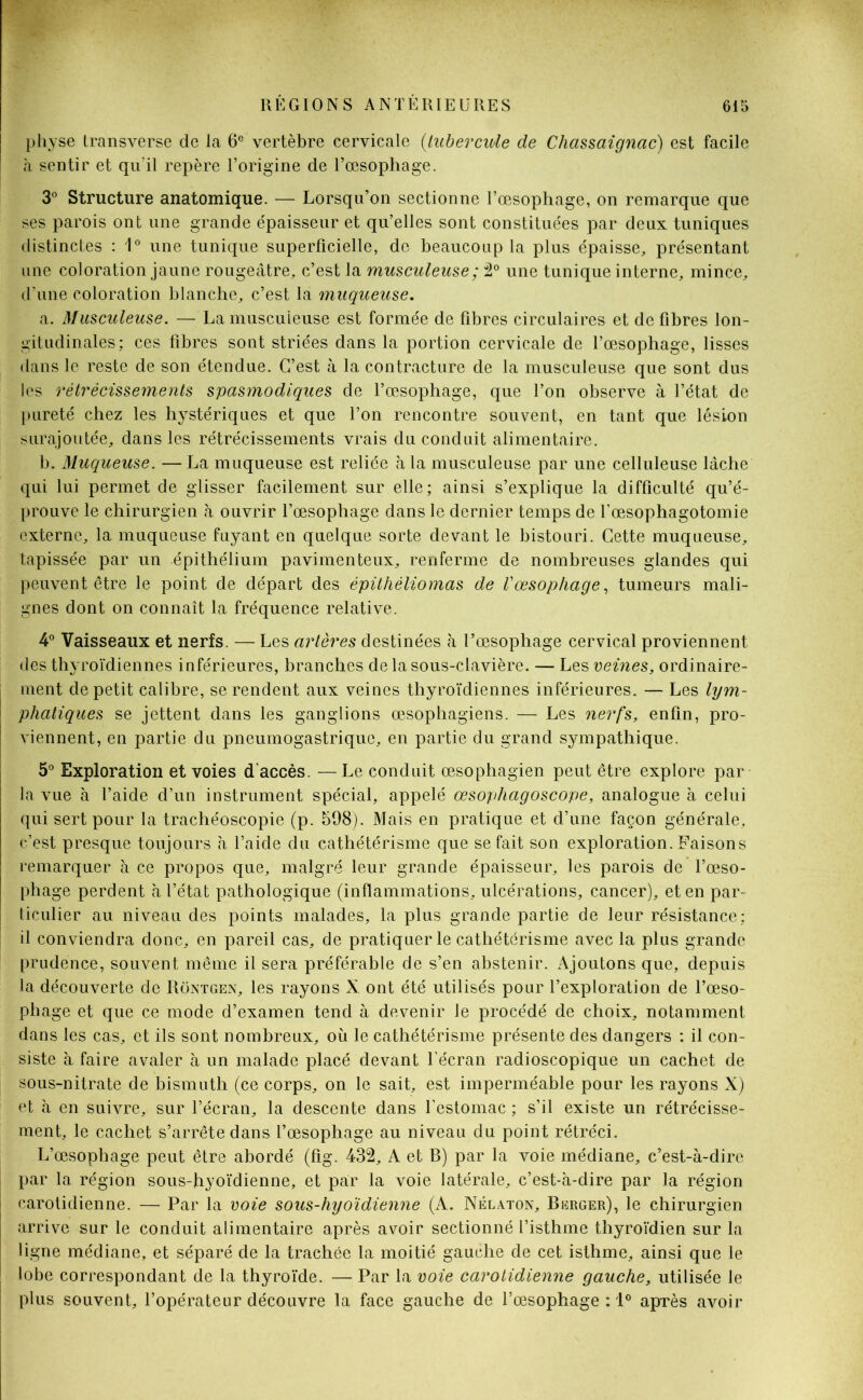physe transverse de la 6e vertèbre cervicale (tubercule de Chcissaignac) est facile à sentir et qu'il repère l’origine de l’œsophage. 3° Structure anatomique. — Lorsqu’on sectionne l’œsophage, on remarque que ses parois ont une grande épaisseur et qu’elles sont constituées par deux tuniques distinctes : 1° une tunique superficielle, de beaucoup la plus épaisse, présentant une coloration jaune rougeâtre, c’est la musculeuse ; 2° une tunique interne, mince, d’une coloration blanche, c’est la muqueuse. a. Musculeuse. — La musculeuse est formée de fibres circulaires et défibrés lon- gitudinales; ces fibres sont striées dans la portion cervicale de l’œsophage, lisses dans le reste de son étendue. C’est à la contracture de la musculeuse que sont dus les rétrécissements spasmodiques de l’œsophage, que l’on observe à l’état de pureté chez les hystériques et que l’on rencontre souvent, en tant que lésion surajoutée, dans les rétrécissements vrais du conduit alimentaire. b. Muqueuse. — La muqueuse est reliée à la musculeuse par une celluleuse lâche qui lui permet de glisser facilement sur elle; ainsi s’explique la difficulté qu’é- prouve le chirurgien à ouvrir l’œsophage dans le dernier temps de l’œsophagotomie externe, la muqueuse fuyant en quelque sorte devant le bistouri. Cette muqueuse, tapissée par un épithélium pavimenteux, renferme de nombreuses glandes qui peuvent être le point de départ des épithéliomas de Vœsophage, tumeurs mali- gnes dont on connaît la fréquence relative. 4° Vaisseaux et nerfs. — Les artères destinées à l’œsophage cervical proviennent des thyroïdiennes inférieures, branches de la sous-clavière. — Les veines, ordinaire- [ ment de petit calibre, se rendent aux veines thyroïdiennes inférieures. — Les lym- phatiques se jettent dans les ganglions œsophagiens. — Les nerfs, enfin, pro- viennent, en partie du pneumogastrique, en partie du grand sympathique. 5° Exploration et voies d’accès. —Le conduit œsophagien peut être explore par la vue à l’aide d’un instrument spécial, appelé œsopliagoscope, analogue à celui qui sert pour la trachéoscopie (p. 598). Mais en pratique et d’une façon générale, c’est presque toujours à l’aide du cathétérisme que se fait son exploration. Faisons remarquer à ce propos que, malgré leur grande épaisseur, les parois de l’œso- phage perdent à l’état pathologique (inflammations, ulcérations, cancer), et en par- ticulier au niveau des points malades, la plus grande partie de leur résistance; il conviendra donc, en pareil cas, de pratiquer le cathétérisme avec la plus grande prudence, souvent même il sera préférable de s’en abstenir. Ajoutons que, depuis la découverte de Rôntgen, les rayons X ont été utilisés pour l’exploration de l’œso- phage et que ce mode d’examen tend à devenir Je procédé de choix, notamment dans les cas, et ils sont nombreux, où le cathétérisme présente des dangers : il con- siste à faire avaler à un malade placé devant l’écran radioscopique un cachet de sous-nitrate de bismuth (ce corps, on le sait, est imperméable pour les rayons X) et à en suivre, sur l’écran, la descente dans l’estomac ; s’il existe un rétrécisse- ment, le cachet s’arrête dans l’œsophage au niveau du point rétréci. L’œsophage peut être abordé (fig. 432, A et B) par la voie médiane, c’est-à-dire par la région sous-hyoïdienne, et par la voie latérale, c’est-à-dire par la région carotidienne. — Par la voie sous-hyoïdienne (A. Nélaton, Berger), le chirurgien arrive sur le conduit alimentaire après avoir sectionné l’isthme thyroïdien sur la ligne médiane, et séparé de la trachée la moitié gauche de cet isthme, ainsi que le lobe correspondant de la thyroïde. — Par la voie carotidienne gauche, utilisée le plus souvent, l’opérateur découvre la face gauche de l’œsophage : 1° après avoir