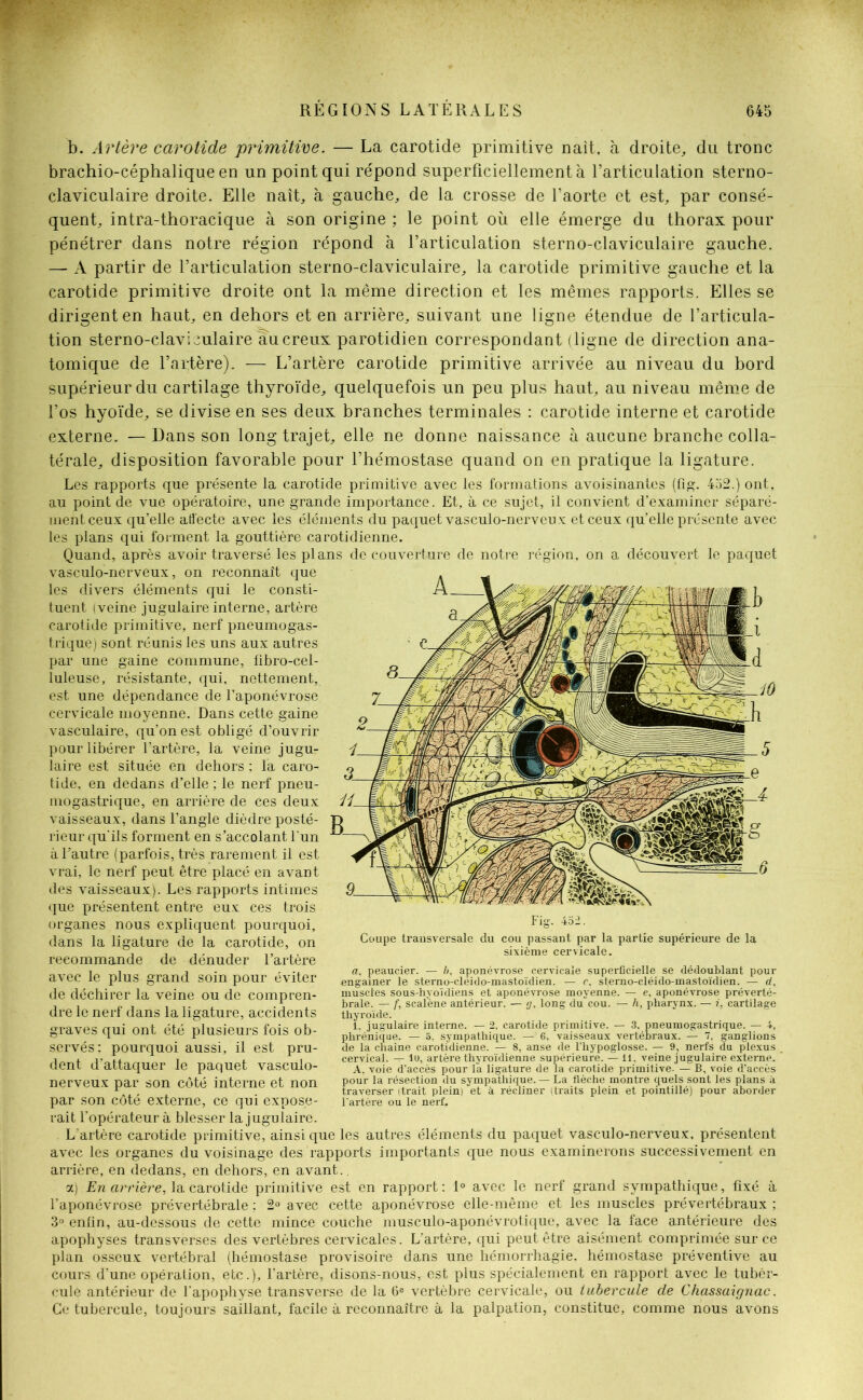 b. Artère carotide primitive. — La carotide primitive naît, à droite, du tronc brachio-céphalique en un point qui répond superficiellement à l’articulation sterno- claviculaire droite. Elle naît, à gauche, de la crosse de l’aorte et est, par consé- quent, intra-thoracique à son origine ; le point où elle émerge du thorax pour pénétrer dans notre région répond à l’articulation sterno-claviculaire gauche. — A partir de l’articulation sterno-claviculaire, la carotide primitive gauche et la carotide primitive droite ont la même direction et les mêmes rapports. Elles se dirigent en haut, en dehors et en arrière, suivant une ligne étendue de l’articula- tion sterno-claviculaire au creux parotidien correspondant (ligne de direction ana- tomique de l’artère). — L’artère carotide primitive arrivée au niveau du bord supérieur du cartilage thyroïde, quelquefois un peu plus haut, au niveau même de l’os hyoïde, se divise en ses deux branches terminales : carotide interne et carotide externe. — Dans son long trajet, elle ne donne naissance à aucune branche colla- térale, disposition favorable pour l’hémostase quand on en pratique la ligature. Les rapports que présente la carotide primitive avec les formations avoisinantes (fig. 452.) ont, au pointée vue opératoire, une grande importance. Et, à ce sujet, il convient d’examiner séparé- ment ceux qu’elle affecte avec les éléments du paquet vasculo-nerveux et ceux qu’elle présente avec les plans qui forment la gouttière carotidienne. Quand, après avoir traversé les plans de couverture de notre région, on a découvert le paquet vasculo-nerveux, on reconnaît que les divers éléments qui le consti- tuent (veine jugulaire interne, artère carotide primitive, nerf pneumogas- trique) sont réunis les uns aux autres par une gaine commune, fibro-cel- luleuse, résistante, qui, nettement, est une dépendance de l’aponévrose cervicale moyenne. Dans cette gaine vasculaire, qu’on est obligé d’ouvrir pour libérer l’artère, la veine jugu- laire est située en dehors ; la caro- tide, en dedans d’elle ; le nerf pneu- mogastrique, en arrière de ces deux vaisseaux, dans l’angle dièdre posté- rieur qu'ils forment en s’accolant l'un à l’autre (parfois, très rarement il est vrai, le nerf peut être placé en avant des vaisseaux). Les rapports intimes que présentent entre eux ces trois organes nous expliquent pourquoi, dans la ligature de la carotide, on recommande de dénuder l’artère avec le plus grand soin pour éviter de déchirer la veine ou de compren- dre le nerf dans la ligature, accidents graves qui ont été plusieurs fois ob- servés; pourquoi aussi, il est pru- dent d’attaquer le paquet vasculo- nerveux par son côté interne et non par son côté externe, ce qui expose- rait l’opérateur à blesser la jugulaire. L’artère carotide primitive, ainsique les autres éléments du paquet vasculo-nerveux, présentent avec les organes du voisinage des rapports importants que nous examinerons successivement en arrière, en dedans, en dehors, en avant.. a) En arrière, la carotide primitive est en rapport: 1° avec le nerf grand sympathique, fixé à l’aponévrose prévertébrale : 2° avec cette aponévrose elle-même et les muscles prévertébraux ; 3° enfin, au-dessous de cette mince couche musculo-aponévrotique, avec la face antérieure des apophyses transverses des vertèbres cervicales. L’artère, qui peut être aisément comprimée sur ce plan osseux vertébral (hémostase provisoire dans une hémorrhagie, hémostase préventive au cours, d’une opération, etc.), l’artère, disons-nous, est plus spécialement en rapport avec le tubér- cule antérieur de l'apophyse transverse de la 6e vertèbre cervicale, ou tubercule de Chassaignac. Ce tubercule, toujours saillant, facile à reconnaître à la palpation, constitue, comme nous avons Coupe transversale du cou passant par la partie supérieure de la sixième cervicale. a, peaucier. — b, aponévrose cervicale superficielle se dédoublant pour engainer le sterno-cléido-mastoïdien. — c, sterno-cléido-mastoïdien. — d, muscles sous-hyoïdiens et aponévrose moyenne. — e, aponévrose préverté- brale. — f, scalène antérieur. — g, long du cou. — h, pharynx. — i, cartilage thyroïde. 1. jugulaire interne. — 2, carotide primitive. — 3. pneumogastrique. — 4, phrénique. — 3, sympathique. — 6, vaisseaux vertébraux. — 7, ganglions de la chaîne carotidienne. — 8, anse de l’hypoglosse. — 9, nerfs du plexus , cervical. — 10, artère thyroïdienne supérieure. — 11. veine jugulaire externe. A. voie d’accès pour la ligature de la carotide primitive- — B, voie d’accès pour la résection du sympathique. — La flèche montre quels sont les plans à traverser itrait plein) et à récliner (traits plein et pointillé) pour aborder l’artère ou le nerf.
