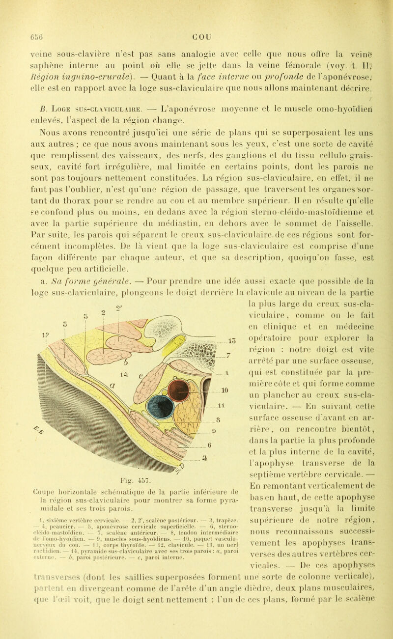veine sous-clavière n’est pas sans analogie avec celle que nous offre la veine saphène interne au point où elle se jette dans la veine fémorale (voy. t. Il; Région inguino-crurale). — Quant à la face interne ou profonde de l’aponévrose, elle est en rapport avec la loge sus-claviculaire que nous allons maintenant décrire. / B. Loge sus-claviculaire. — L’aponévrose moyenne et le muscle omo-hyoïdien enlevés, l’aspect de la région change. Nous avons rencontré jusqu’ici une série de plans qui se superposaient les uns aux autres ; ce que nous avons maintenant sous les yeux, c’est une sorte de cavité que remplissent des vaisseaux, des nerfs, des ganglions et du tissu cellulo-grais- seux, cavité fort irrégulière, mal limitée en certains points, dont les parois ne sont pas toujours nettement constituées. La région sus-claviculaire, en effet, il ne faut pas l’oublier, n’est qu’une région de passage, que traversent les organes sor- tant du thorax pour se rendre au cou et au membre supérieur. Il en résulte qu’elle se confond plus ou moins, en dedans avec la région sterno-cléido-mastoïdienne et avec la partie supérieure du médiastin, en dehors avec le sommet de l’aisselle. Par suite, les parois qui séparent le creux sus-claviculaire.de ces régions sont for- cément incomplètes. De là vient que la loge sus-claviculaire est comprise d’une façon différente par chaque auteur, et que sa description, quoiqu’on fasse, est quelque peu artificielle. a. Sa forme générale. — Pour prendre une idée aussi exacte que possible de la loge sus-claviculaire, plongeons le doigt derrière la clavicule au niveau de la partie la plus large du creux sus-cla- viculaire, comme on le fait en clinique et en médecine opératoire pour explorer la région : notre doigt est vite arreté par une surface osseuse, qui est constituée par la pre- mière côte et qui forme comme un plancher au creux sus-cla- viculaire. — En suivant cette surface osseuse d’avant en ar- rière, on rencontre bientôt, dans la partie la plus profonde et la plus interne de la cavité, l’apophyse transverse de la septième vertèbre cervicale. — En remontant verticalement de bas en haut, de cette apophyse transverse jusqu’à la limite supérieure de notre région, nous reconnaissons successi- vement les apophyses trans- verses des autres vertèbres cer- vicales. — De ces apophyses transverses (dont les saillies superposées forment une sorte de colonne verticale), partent en divergeant comme de l’arête d’un angle dièdre, deux plans musculaires, que l’œil voit, que le doigt sent nettement : l’un de ces plans, formé par le.scalène O' 9 Coupe horizontale schématique de la partie inférieure de la région sus-claviculaire pour montrer sa forme pyra- midale et ses trois parois. 1, sixième vertèbre cervicale. — 2, 2’, scalène postérieur. — 3, trapèze. — 4, peaucier. — 5, aponévrose cervicale superficielle. — 6, sterno- cléido-mastoïdien. — 7, scalène antérieur. — 8, tendon intermédiaire de Tomo-hyoïdien. — 9, muscles sous-hyoïdiens. — 10, paquet vasculo- nerveux du cou. — 11, corps thyroïde. — 12, clavicule. — 13, un nerf rachidien. — 14, pyramide sus-claviculaire avec ses trois parois : a, paroi externe. — b, paroi postérieure. — c, paroi interne.