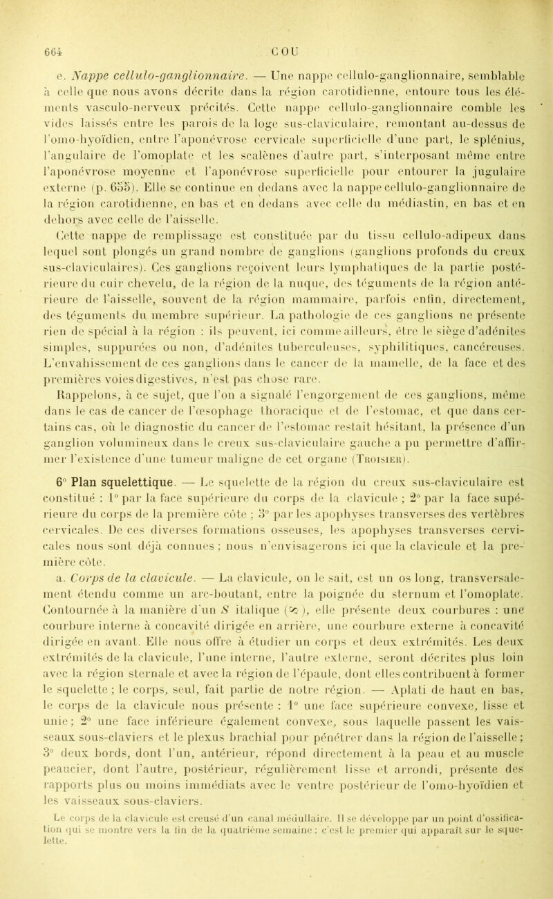 e. Nappe cellulo-ganglionnaire. — Une nappe cellulo-ganglionnaire, semblable à celle que nous avons décrite dans la région carotidienne, entoure tous les élé- ments vasculo-nerveux précités. Cette nappe cellulo-ganglionnaire comble les vides laissés entre les parois de la loge sus-claviculaire, remontant au-dessus de l’omo-hyoïdien, entre l’aponévrose cervicale superficielle d’une part, le splénius, l’angulaire de l’omoplate et les scalènes d’autre part, s’interposant même entre l’aponévrose moyenne et l’aponévrose superficielle pour entourer la jugulaire externe (p. 655). Elle se continue en dedans avec la nappe cellulo-ganglionnaire de la région carotidienne, en bas et en dedans avec celle du médiastin, en bas et en dehors avec celle de l’aisselle. Cette nappe de remplissage est constituée par du tissu cellulo-adipeux dans lequel sont plongés un grand nombre de ganglions (ganglions profonds du creux sus-claviculaires). Ces ganglions reçoivent leurs lymphatiques de la partie posté- rieure du cuir chevelu, de la région de la nuque, des téguments de la région anté- rieure de l’aisselle, souvent de la région mammaire, parfois enfin, directement, des téguments du membre supérieur. La pathologie de ces ganglions ne présente rien de spécial à la région : ils peuvent, ici comme ailleurs, être le siège d’adénites simples, suppurées ou non, d’adénites tuberculeuses, syphilitiques, cancéreuses. L’envahissement de ces ganglions dans le cancer de la mamelle, de la face et des premières voies digestives, n’est pas chose rare. Rappelons, à ce sujet, que l’on a signalé l’engorgement de ces ganglions, même dans le cas de cancer de l’œsophage thoracique et de l’estomac, et que dans cer- tains cas, où le diagnostic du cancer de l’estomac restait hésitant, la présence d’un ganglion volumineux dans le creux sus-claviculaire gauche a pu permettre d’affir- mer l'existence d’une tumeur maligne de cet organe (Troisier). 6° Plan squelettique. — Le squelette de la région du creux sus-claviculaire est constitué : 1° par la face supérieure du corps de la clavicule ; 2° par la face supé- rieure du corps de la première côte ; 5° parles apophyses transverses des vertèbres cervicales. De ces diverses formations osseuses, les apophyses transverses cervi- cales nous sont déjà connues ; nous n’envisagerons ici que la clavicule et la pre- mière côte. a. Corps de la clavicule. — La clavicule, on le sait, est un os long, transversale- ment étendu comme un arc-boutant, entre la poignée du sternum et l’omoplate. Contournée à la manière d'un S italique (co), elle présente deux courbures : une courbure interne à concavité dirigée en arrière, une courbure externe à concavité dirigée en avant. Elle nous offre à étudier un corps et deux extrémités. Les deux extrémités de la clavicule, l’une interne, l’autre externe, seront décrites plus loin avec la région sternale et avec la région de l’épaule, dont elles contribuent à former le squelette; le corps, seul, fait partie de notre région. — Aplati de haut en bas, le corps de la clavicule nous présente : 1° une face supérieure convexe, lisse et unie; 2° une face inférieure également convexe, sous laquelle passent les vais- seaux sous-claviers et le plexus brachial pour pénétrer dans la région de l’aisselle; 3° deux bords, dont l’un, antérieur, répond directement à la peau et au muscle peaucier, dont l’autre, postérieur, régulièrement lisse et arrondi, présente des rapports plus ou moins immédiats avec le ventre postérieur de l’omo-byoïdien et les vaisseaux sous-claviers. Le corps de la clavicule est creusé d’un canal médullaire. Il se développe par un point d’ossifica- tion qui se montre vers la fin de la quatrième semaine : c’est le premier qui apparaît sur le sque- lette.