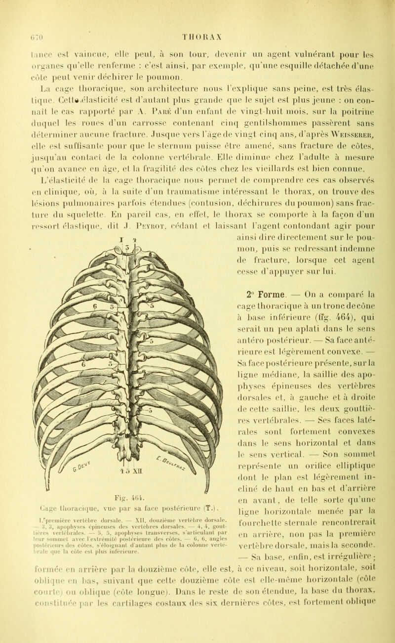 tance est vaincue, elle peut, à son tour, devenir un agent vulnérant pour les organes qu’elle renferme : c’est ainsi, par exemple, qu’une esquille détachée d’une côte peut venir déchirer le poumon. La cage thoracique, son architecture nous l’explique sans peine, est très élas- tique. Cett» «élasticité est d’autant plus grande que le sujet est plus jeune : on con- naît le cas rapporté par A. Paré d’un enfant de vingt-huit mois, sur la poitrine duquel les roues d’un carrosse contenant cinq gentilshommes passèrent sans déterminer aucune fracture. Jusque vers l’âge de vingt cinq ans, d’après Weisserer, elle est suffisante pour que le sternum puisse être amené, sans fracture de côtes, jusqu’au contact de la colonne vertébrale. Elle diminue chez l’adulte à mesure qu'on avance en âge, et la fragilité des côtes chez les vieillards est bien connue. L’élasticité de la cage thoracique nous permet de comprendre ces cas observés en clinique, où, à la suite d’un traumatisme intéressant le thorax, on trouve des lésions pulmonaires parfois étendues (contusion, déchirures du poumon) sans frac- ture du squelette. En pareil cas, en effet, le thorax se comporte à la façon d’un ressort élastique, dit J. Peyrot, cédant et laissant l’agent contondant agir pour ainsi dire directement sur le pou- mon, puis se redressant indemne de fracture, lorsque cet agent cesse d’appuyer sur lui. Fig. 464. Gage thoracique, vue par sa face postérieure (T.) I,''première vertèbre dorsale. — XII, douzième vertèbre dorsale. — 3, 3, apophyses épineuses des vertèbres dorsales. — 4,4, gout- lières vertébrales. — 5, 5, apophyses transverses, s’articulant par leur sommet avec l'extrémité postérieure des côtes. — 6, 6, angles postérieurs des côtes, s’éloignant d'autant plus de la colonne verté- brale que la côte est plus inférieure. 2° Forme — On a comparé la cage thoracique à un tronc de cône à base inférieure (fîg. 464), qui serait un peu aplati dans le sens antéro postérieur. — Sa face anté- rieure est légèrement convexe. — Sa face postérieure présente, sur la ligne médiane, la saillie des apo- physes épineuses des vertèbres dorsales et, à gauche et à droite de cette saillie, les deux gouttiè- res vertébrales. — Ses faces laté- rales sont fortement convexes dans le sens horizontal et dans le sens vertical. — Son sommet représente un orifice elliptique dont le plan est légèrement in- cliné de haut en bas et d’arrière en avant, de telle sorte qu’une ligne horizontale menée par la fourchette sternale rencontrerait en arrière, non pas la première vertèbre dorsale, mais la seconde. — Sa base, enfin, est irrégulière ; formée en arrière par la douzième côte, elle est, à ce niveau, soit horizontale, soit oblique en bas, suivant que cette douzième côte est elle-même horizontale (côte courte) ou oblique (côte longue). Dans le reste de son étendue, la base du thorax, constituée par les cartilages costaux des six dernières côtes, est fortement oblique