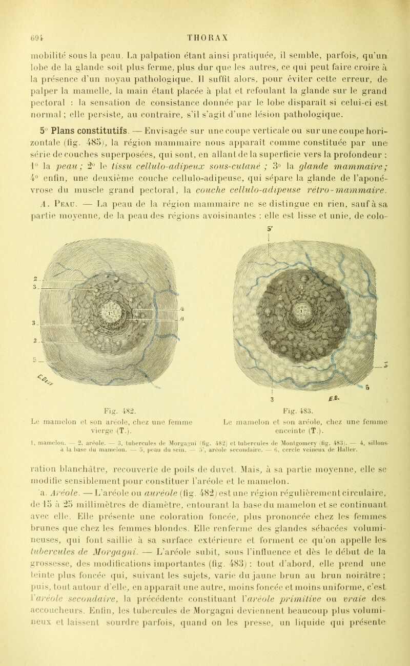mobilité sous la peau. La palpation étant ainsi pratiquée, il semble, parfois, qu’un lobe de la glande soit plus ferme, plus dur que les autres, ce qui peut faire croire à la présence d’un noyau pathologique. Il suffit alors, pour éviter cette erreur, do palper la mamelle, la main étant placée à plat et refoulant la glande sur le grand pectoral : la sensation de consistance donnée par le lobe disparaît si celui-ci est normal ; elle persiste, au contraire, s’il s’agit d’une lésion pathologique. 5° Plans constitutifs. —Envisagée sur une coupe verticale ou sur une coupe hori- zontale (fig. 485), la région mammaire nous apparaît comme constituée par une série de couches superposées, qui sont, en allant de la superficie vers la profondeur : 1° la peau; 2° le tissu cellulo-adipeux sous-cutané ; 3° la glande mammaire ; 4° enfin, une deuxième couche cellulo-adipeuse, qui sépare la glande de l’aponé- vrose du muscle grand pectoral, la couche cellulo-adipeuse rétro-mammaire. A. Peau. — La peau de la région mammaire ne se distingue en rien, sauf à sa partie moyenne, de la peau des régions avoisinantes : elle est lisse et unie, de colo- 1, mamelon. — 2, aréole. — 3, tubercules de Morgagni (fig. 482) et tubercules de Montgomery (fig. 483). — 4, sillons- à la base du mamelon. — 5, peau du sein. — 5’, aréole secondaire. — 6, cercle veineux de Haller. ration blanchâtre, recouverte de poils de duvet. Mais, à sa partie moyenne, elle se modifie sensiblement pour constituer l’aréole et le mamelon. a. Aréole. —L’aréole ou auréole (fig. 482j est une région régulièrement circulaire, de 15 à 25 millimètres de diamètre, entourant la base du mamelon et se continuant avec elle. Elle présente une coloration foncée, plus prononcée chez les femmes» brunes que chez les femmes blondes. Elle renferme des glandes sébacées volumi- neuses, qui font saillie à sa surface extérieure et forment ce qu’on appelle les- tubercules de Morgagni. — L’aréole subit, sous l’influence et dès le début de la grossesse, des modifications importantes (fig. 483) : tout d’abord, elle prend une teinte plus foncée qui, suivant les sujets, varie du jaune brun au brun noirâtre ; puis, tout autour d’elle, en apparaît une autre, moins foncée et moins uniforme, c’est Varéole secondaire, la précédente constituant Xaréole primitive ou vraie des accoucheurs. Enfin, les tubercules de Morgagni deviennent beaucoup plus volumi- neux et laissent sourdre parfois, quand on les presse, un liquide qui présente 5' Fig. 482. Le mamelon et son aréole, chez une femme vierge (T.). Fig. 483. Le mamelon et son aréole, chez une femme; enceinte (T.).