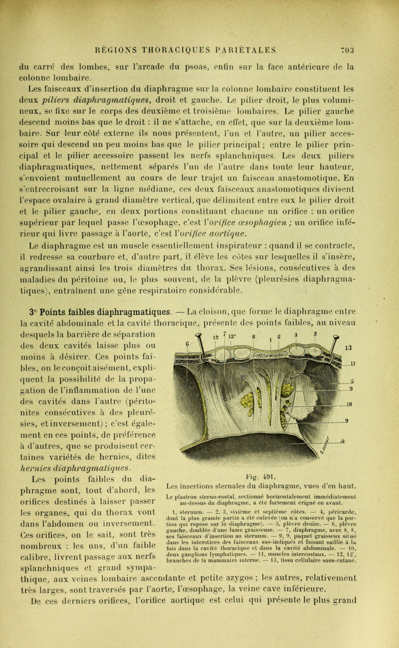 du carré des lombes, sur l’arcade du psoas, enfin sur la face antérieure de la colonne lombaire. Les faisceaux d’insertion du diaphragme sur la colonne lombaire constituent les deux piliers diaphragmatiques, droit et gauche. Le pilier droit, le plus volumi- neux, se fixe sur le corps des deuxième et troisième lombaires. Le pilier gauche descend moins bas que le droit : il ne s’attache, en effet, que sur la deuxième lom- baire. Sur leur côté externe ils nous présentent, l’un et l’autre, un pilier acces- soire qui descend un peu moins bas que le pilier principal ; entre le pilier prin- cipal et le pilier accessoire passent les nerfs splanchniques. Les deux piliers diaphragmatiques, nettement séparés l’un de l’autre dans toute leur hauteur, s’envoient mutuellement au cours de leur trajet un faisceau anastomotique. En s’entrecroisant sur la ligne médiane, ces deux faisceaux anastomotiques divisent l’espace ovalaire à grand diamètre vertical, que délimitent entre eux le pilier droit et le pilier gauche, en deux portions constituant chacune un orifice : un orifice supérieur par lequel passe l’œsophage, c’est Yorifice œsophagien ; un orifice infé- rieur qui livre passage à l’aorte, c’est Y orifice aortique. Le diaphragme est un muscle essentiellement inspirateur : quand il se contracte, il redresse sa courbure et, d’autre part, il élève les cotes sur lesquelles il s’insère, agrandissant ainsi les trois diamètres du thorax. Ses lésions, consécutives à des maladies du péritoine ou, le plus souvent, de la plèvre (pleurésies diaphragma- tiques), entraînent une gêne respiratoire considérable. 3° Points faibles diaphragmatiques. — La cloison, que forme le diaphragme entre la cavité abdominale et la cavité thoracique, présente des points faibles, au niveau desquels la barrière de séparation des deux cavités laisse plus ou moins à désirer. Ces points fai- bles, on le conçoit aisément, expli- quent la possibilité de la propa- gation de l’inflammation de l’une des cavités dans l’autre (péritox nites consécutives à des pleuré- sies, et inversement) ; c’est égale- ment en ces points, de préférence à d’autres, que se produisent cer- taines variétés de hernies, dites hernies diaphragmatiques. Les points faibles du dia- phragme sont, tout d’abord, les orifices destinés à laisser passer les organes, qui du thorax vont dans l’abdomen ou inversement. Ces orifices, on le sait, sont très nombreux : les uns, d’un faible calibre, livrent passage aux nerfs splanchniques et grand sympa- thique, aux veines lombaire ascendante et petite azygos ; les autres, relativement très larges, sont traversés par l’aorte, l’œsophage, la veine cave inférieure. De ces derniers orifices, l’orifice aortique est celui qui présente le plus grand Fi g. 491. Les insertions sternales du diaphragme, vues d’en haut. Le plastron sterno-costal, sectionné horizontalement immédiatement au-dessus du diaphragme, a été fortement érigné en avant. 1, sternum. — 2. 3, sixième et septième côtes. — 4, péricarde, dont la plus grande partie a été enlevée (on n'a conservé que la por- tion qui repose sur le diaphragme). — a, plèvre droite. — 6, plèvre gauche, doublée d’une lame graisseuse. — 7, diaphragme, avec 8, 8, ses faisceaux d'insertion au sternum. — 9, 9, paquet graisseux situé dans les interstices des faisceaux sus-indiqués et faisant saillie à la fois dans la cavité thoracique et dans la cavité abdominale. — 10, deux ganglions lymphatiques. — 11, muscles intercostaux. — 12, 12’, branches de la mammaire interne. — 13, lissu cellulaire sous-cutanc.