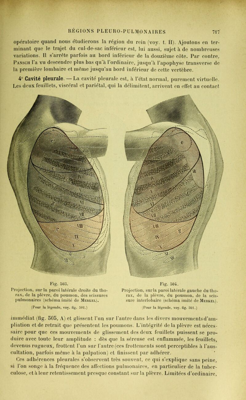 opératoire quand nous étudierons la région du rein (voy. t. II). Ajoutons en ter- minant que le trajet du cul-de-sac inférieur est, lui aussi, sujet à de nombreuses variations. Il s’arrête parfois au bord inférieur de la douzième côte. Par contre, Pansch l’a vu descendre plus bas qu’à l’ordinaire, jusqu’à l’apophyse transverse de la première lombaire et même jusqu’au bord inférieur de cette vertèbre. 4° Cavité pleurale. — La cavité pleurale est, à l’état normal, purement virtuelle. Les deux feuillets, viscéral et pariétal, qui la délimitent, arrivent en effet au contact immédiat (fig. 505, A) et glissent l’un sur l’autre dans les divers mouvements d’am- pliation et de retrait que présentent les poumons. L’intégrité de la plèvre est néces- saire pour que ces mouvements de glissement des deux feuillets puissent se pro- duire avec toute leur amplitude : dès que la séreuse est enflammée, les feuillets, devenus rugueux, frottent l’un sur l’autre (ces frottements sont perceptibles à l’aus- cultation, parfois même à la palpation) et finissent par adhérer. Ces adhérences pleurales s’observent très souvent, ce qui s’explique sans peine, si l’on songe à la fréquence des affections pulmonaires, en particulier de la tuber- culose, et à leur retentissement presque constant sur la plèvre. Limitées d’ordinaire, Fig. 504. Projection, sur la paroi latérale gauche du tho- rax, de la plèvre, du poumon, de la scis- sure interlobaire (schéma imité de Merkel). i^Pour la légende, voy. fig. 501.) (Pour la légende, voy. fig. 501.) Fig. 503. Projection, sur la paroi latérale droite du tho- rax, de la plèvre, du poumon, des scissures pulmonaires (schéma imité de Merkel).