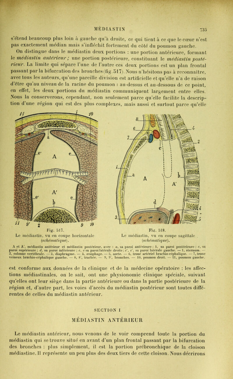 MEDIASTIN s’étend beaucoup plus loin à gauche qu’à droite, ce qui tient à ce que le cœur n’est pas exactement médian mais s’infléchit fortement du côté du poumon gauche. On distingue dans le médiastin deux portions : une portion antérieure, formant le médiastin antérieur ; une portion postérieure, constituant le médiastin posté- rieur. La limite qui sépare l’une de l’autre ces deux portions est un plan frontal passant par la bifurcation des bronches(fig. 517). Nous n’hésitons pas à reconnaître, avec tous les auteurs, qu’une pareille division est artificielle et qu’elle n’a de raison d’être qu’au niveau de la racine du poumon : au-dessus et au-dessous de ce point, en effet, les deux portions du médiastin communiquent largement entre elles. Nous la conserverons, cependant, non seulement parce qu’elle facilite la descrip- tion d’une région qui est des plus complexes, mais aussi et surtout parce qu’elle Fig. 517. Fig. 518. Le médiastin, vu en coupe horizontale Le médiastin, vu en coupe sagittale [schématique). [schématique). A et A', médiastin antérieur et médiastin postérieur, avec : a, sa paroi antérieure ; 6, sa paroi postérieure ; c, sa paroi supérieure ; rf, sa paroi inférieure ; e, e sa paroi latérale droite; e\ e\ sa paroi latérale gauche. — 1, sternum. — 2, colonne vertébrale. — 3, diaphragme. — 4, œsophage. — 5, aorte. — 6, tronc artériel brachio céphalique. — 7, tronc veineux bràchio-céphalique gauche. — 8, 8’, trachée. — 9, 9’, bronches. — 10, poumon droit. — 11, poumon gauche. est conforme aux données de la clinique et de la médecine opératoire : les affec- tions médiastinales, on le sait, ont une physionomie clinique spéciale, suivant qu’elles ont leur siège dans la partie antérieure ou dans la partie postérieure de la région et, d’autre part, les voies d’accès du médiastin postérieur sont toutes diffé- rentes de celles du médiastin antérieur. SECTION I MÉDIASTIN ANTÉRIEUR Le médiastin antérieur, nous venons de le voir comprend toute la portion du médiastin qui se trouve situé en avant d’un plan frontal passant par la bifurcation des bronches : plus simplement, il est la portion prébronchique de la cloison médiastine. Il représente un peu plus des deux tiers de cette cloison. Nous décrirons