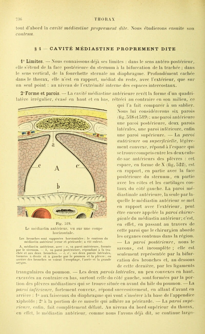 tout d’abord la cavité médiastine proprement dite. Nous étudierons ensuite son contenu. § 1 — CAVITÉ MÉDIASTINE PROPREMENT DITE 1° Limites. — Nous connaissons déjà ses limites : dans le sens antéro-postérieur, elle s’étend de la face postérieure du sternum à la bifurcation de la trachée ; dans le sens vertical, de la fourchette sternale au diaphragme. Profondément cachée dans le thorax, elle n’est en rapport, médiat du reste, avec l’extérieur, que sur un seul point : au niveau de l’extrémité interne des espaces intercostaux. 2° Forme et parois. — La cavité médiastine antérieure revêt la forme d’un quadri- latère irrégulier, évasé en haut et en bas, rétréci au contraire en son milieu, ce qui l’a fait comparer à un sablier. Nous lui considérerons six parois (fig. 518 et 519) : une paroi antérieure une paroi postérieure, deux parois latérales, une paroi inférieure, enfin une paroi supérieure. — La paroi antérieure ou superficielle, légère- ment convexe, répond à l’espace qui se trouve compris entre les deux culs- de-sac antérieurs des plèvres : cet espace, en forme de X (fig. 522), est en rapport, en partie avec la face postérieure du sternum, en partie avec les côtes et les cartilages cos- taux du côté gauche. La paroi mé- diastinale antérieure, la seule par la- quelle le médiastin antérieur se met en rapport avec l’extérieur, peut être encore appelée la paroi chirur- gicale du médiastin antérieur; c’est, en effet, en passant au travers de- cette paroi que le chirurgien aborde les organes contenus dans la région. — La paroi postérieure, nous le savons, est incomplète ; elle est seulement représentée par la bifur- cation des bronches et, au-dessous de cette dernière, par les ligaments- triangulaires du poumon. — Les deux parois latérales, un peu convexes en haut, excavées au contraire en bas, surtout celle du côté gauche, sont formées par la por- tion des plèvres médiastines qui se trouve située en avant du hile du poumon. — La paroi inférieure, fortement convexe, répond successivemeut, en allant d’avant en arrière : 1° aux faisceaux du diaphragme qui vont s’insérer à la base de l’appendice xiphoïde ; 2° à la portion de ce muscle qui adhère au péricarde. — La paroi supé- rieure, enfin, fait complètement défaut. Au niveau du bord supérieur du thorax, en effet, le médiastin antérieur, comme nous l’avons déjà dit, se continue large- Le médiastin antérieur, vu sur une coupe horizontale. Les bronches sont supposées horizontales ; le contenu du médiastin antérieur (cœur et péricarde) a été enlevé. A, médiastin antérieur, avec : a, sa paroi anlérieure, formée par le sternum. — b, sa paroi postérieure, répondant à la tra- chée et aux deux bronches. — c, c\ ses deux parois latérales, formées à droite et à gauche par le poumon et la plèvre ; en arrière des bronches se voient l’œsophage, l’aorte et la grande azygos.
