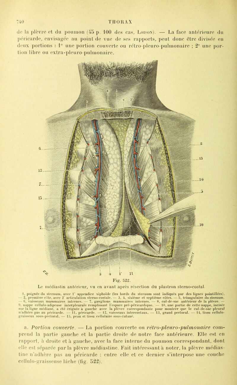 de la plèvre et du poumon (45 p. 100 des cas, Loison). — La face antérieure du péricarde, envisagée au point de vue de ses rapports, peut donc être divisée en deux portions : 1° une portion couverte ou rétro-pleuro-pulmonaire ; 2° une por- tion libre ou extra-pleuro-pulmonaire. Le médiastin antérieur, vu en avant après résection du plastron sterno-costal. 1, poignée du sternum, avec 1' appendice xiphoïde (les bords du sternum sont indiqués par des lignes pointillées). — 2, première côte, avec T articulation sterno-costale. — 3, 4, sixième et septième côtes. — 5, triangulaire du sternum. — 6, vaisseaux mammaires internes. — 7, ganglions mammaires internes. — 8, cul-de-sac antérieur de la plèvre. — 9, nappe cellulo-adipeuse inlerpleurale remplissant l’espace pré-péricardique. — 10, une partie de celle nappe, incisée sur la ligne médiane, a été érignée à gauche avec la plèvre correspondante pour montrer que le cul-de-sac pleural n’adhère pas au péricarde. — 11, péricarde. — 12, vaisseaux intercostaux. — 13, grand pectoral. — 14, tissu cellulo- graisseux sous-pectoral. — 15, peau et tissu cellulaire sous-cutané. a. Portion couverte. — La portion couverte ou rétro-pleuro-pulmonaire com- prend la partie gauche et la partie droite de notre face antérieure. Elle est en rapport, à droite et à gauche, avec la face interne du poumon correspondant, dont elle est séparée par la plèvre médiastine. Fait intéressant à noter, la plèvre médias- tine n’adhère pas au péricarde : entre elle et ce dernier s’interpose une couche cellulo-graisseuse lâche (fig. 522).