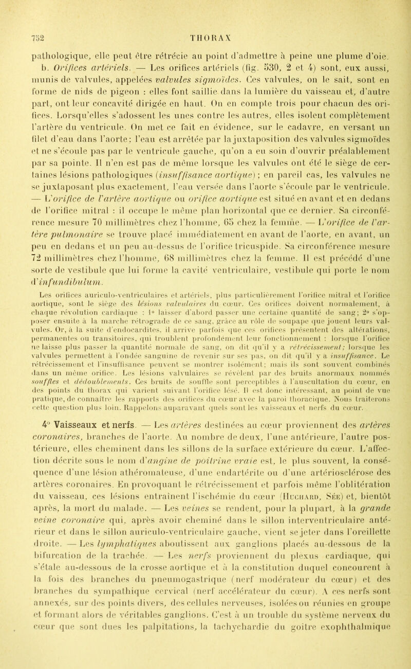 pathologique, elle peut être rétrécie au point d’admettre à peine une plume d’oie. b. Orifices artériels. —- Les orifices artériels (fig. 530, 2 et 4) sont, eux aussi, munis de valvules, appelées valvules sigmoïdes. Ces valvules, on le sait, sont en forme de nids de pigeon : elles font saillie, dans la lumière du vaisseau et, d’autre part, ont leur concavité dirigée en haut. On en compte trois pour chacun des ori- fices. Lorsqu’elles s’adossent les unes contre les autres, elles isolent complètement l’artère du ventricule. On met ce fait en évidence, sur le cadavre, en versant un filet d’eau dans l’aorte: l’eau est arrêtée par la juxtaposition des valvules sigmoïdes et ne s’écoule pas par le ventricule gauche, qu’on a eu soin d’ouvrir préalablement par sa pointe. Il n’en est pas de même lorsque les valvules ont été le siège de cer- taines lésions pathologiques (insuffisance aortique) ; en pareil cas, les valvules ne se juxtaposant plus exactement, l’eau versée dans l’aorte s’écoule par le ventricule. — orifice de l'artère aortique ou orifice aortique est situé en avant et en dedans de l’orifice mitral : il occupe le même plan horizontal que ce dernier. Sa circonfé- rence mesure 70 millimètres chez l’homme, 65 chez la femme. — Vorifice de l'ar- tère pulmonaire se trouve placé immédiatement en avant de l’aorte, en avant, un peu. en dedans et un peu au-dessus de l’orifice tricuspide. Sa circonférence mesure 72 millimètres chez l’homme, 68 millimètres chez la femme. 11 est précédé d’une sorte de vestibule que lui forme la cavité ventriculaire, vestibule qui porte le nom d ' infundibulum. Les orilices auriculo-ventriculaires et artériels, plus particulièrement l'orifice mitral et l’orifice aortique, sont le siège des lésions valvulaires du cœur. Ces orifices doivent normalement, à chaque révolution cardiaque : 1° laisser d'abord passer une certaine quantité de sang; 2° s’op- poser ensuite à la marche rétrograde de ce sang, grâce au rôle de soupape que jouent leurs val- vules. Or, à la suite d'endocardites, il arrive parfois que ces orifices présentent des altérations, permanentes ou transitoires, qui troublent profondément leur fonctionnement : lorsque l'orifice ne laisse plus passer la quantité normale de sang, on dit qu’il y a rétrécissement ; lorsque les valvules permettent à l'ondée sanguine de revenir sur ses pas, on dit qu’il y a insuffisance. Le rétrécissement et l’insuffisance peuvent se montrer isolément; mais ils sont souvent combinés dans un même orifice. Les lésions valvulaires se révèlent par des bruits anormaux nommés souffles et dédoublements. Ces bruits de souffle sont perceptibles à l’auscultation du cœur, en des points du thorax qui varient suivant l’orifice lésé. Il est donc intéressant, au point de vue pratique, de connaître les rapports des orifices du cœur avec la paroi thoracique. Nous traiterons cette question plus loin. Rappelons auparavant quels sont les vaisseaux et nerfs du cœur. 4° Vaisseaux et nerfs. — Les artères destinées au cœur proviennent des artères coronaires, branches de l’aorte. Au nombre de deux, l’une antérieure, l’autre pos- térieure, elles cheminent dans les sillons de la surface extérieure du cœur. L’affec- tion décrite sous le nom d'angine de poitrine vraie est, le plus souvent, la consé- quence d’une lésion athéromateuse, d’une endartérite ou d’une artériosclérose des artères coronaires. En provoquant le rétrécissement et parfois même l’oblitération du vaisseau, ces lésions entraînent l’ischémie du cœur (Huchard, Sée) et, bientôt après, la mort du malade. — Les veines se rendent, pour la plupart, à la grande veine coronaire qui, après avoir cheminé dans le sillon interventriculaire anté- rieur et dans le sillon auriculo-ventriculaire gauche, vient se jeter dans l’oreillette droite. — Les lymphatiques aboutissent aux ganglions placés au-dessous de la bifurcation de la trachée. — Les nerfs proviennent du plexus cardiaque, qui s’étale au-dessous de la crosse aortique et à la constitution duquel concourent à la fois des branches du pneumogastrique (nerf modérateur du cœur) et des branches du sympathique cervical (nerf accélérateur du cœur). A ces nerfs sont annexés, sur des points divers, des cellules nerveuses, isolées ou réunies en groupe et formant alors de véritables ganglions. C’est à un trouble du système nerveux du cœur que sont dues les palpitations, la tachychardie du goitre exophthalmique