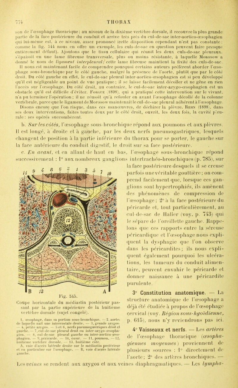son de l’œsophage thoracique: au niveau de la dixième vertèbre dorsale, il recouvre la plus grande- partie de la face postérieure du conduit et arrive très près du cul-de-sac inter-aortico-œsophagien qui iui-méme est, à ce niveau, assez prononcé (cette disposition cependant n’est pas constante : comme la fig. 544 nous en offre un exemple, les culs-de-sac en question peuvent faire presque entièrement défaut). Ajoutons que le tissu cellulaire qui réunit les deux culs-de-sac pleuraux, s’épaissit en une lame fibreuse transversale, plus ou moins résistante, à laquelle Morosow a donné le nom de ligament interpleural: cette lame fibreuse maintient la fixité des culs-de-sac. 11 nous est maintenant facile de comprendre pourquoi certains auteurs préfèrent aborder l'oeso- phage sous-bronchique par le côté gauche, malgré la présence de l’aorte, plutôt que par le côté droit. Du côté gauche en effet, le cul-de-sac pleural inter-aortico-œsophagien est si peu développé qu’il est négligeable au point de vue pratique ; il se laisse facilement décoller et ne gêne en rien l’accès sur l‘œsophage. Du côté droit, au contraire, le cul-de-sac inter-azygo-œsophagien est un obstacle qu’il est difficile d’éviter. Forgue (1898), qui a pratiqué cette intervention sur le vivant, n'a pu terminer l'opération ; il ne réussit qu’à refouler en avant l’œsophage décollé de la colonne vertébrale, parce que le ligament de Morosow main tenait le cul-de-sac pleural adhérent à l’œsophage. Disons encore que l’on risque, dans ces manœuvres, de déchirer la plèvre. Rehn (1898), dans ses deux interventions, faites toutes deux par le côté droit, ouvrit, les deux fois, la cavité pleu- rale : ses opérés succombèrent. b. Su?' les côtés, l’œsophage sous-bronchique répond aux poumons et aux plèvres. Il est longé, à droite et à gauche, par les deux nerfs pneumogastriques, lesquels changent de position à la partie inférieure du thorax pour se porter, le gauche sur la face antérieure du conduit digestif, le droit sur sa face postérieure. c. E?i avant, et en allant de haut en bas, l’œsophage sous-bronchique répond successivement : 1° aux nombreux ganglions intertrachéo-bronchiques (p. 785), sur la face postérieure desquels il se creuse parfois une véritable go uttière ; on com- prend facilement que, lorsque ces gan- glions sont hypertrophiés, ils amènent des phénomènes de compression de l’œsophage ; 2° a la face postérieure du péricarde et, tout particulièrement, au cul-de-sac de Haller (voy. p. 743) qui le sépare de l’oreillettë gauche. Rappe- lons que ces rapports entre la séreuse péricardique et l’œsophage nous expli- dans les péricardites; ils nous expli- quent également pourquoi les ulcéra- tions, les tumeurs du conduit alimen- taire, peuvent envahir le péricarde et donner naissance à une péricardite purulente. 3° Constitution anatomique. — La structure anatomique de l’œsophage a déjà été étudiée à propos de l’œsophage cervical (voy. Région sous-hyoïdienne, p. 615), nous n’y reviendrons pas ici. 4° Vaisseaux et nerfs. — Les ai'tèi'es de l’œsophage thoracique (œsopha- giennes moyennes) proviennent de plusieurs sources : 1° directement de l’aorte; 2° des artères bronchiques. — Les veines se rendent aux azygos et aux veines diaphragmatiques. — Les lyrnpha- quent la dysphagie que l’on observe B 13 A Fig. 545. Coupe horizontale du médiastin postérieur pas- sant par la partie supérieure de la huitième vertèbre dorsale (sujet, congelé). i, œsophage, dans sa portion sous-bronchique. —2, aorte) de laquelle naît une intercostale droite. — 3, grande azygos- — 4, petite azygos. — 5 et 6, nerfs pneumogastriques droit et gauche.— 7, cul-de-sac pleural droit ou inter-azygo-œsopha- gien. — 8, cul-de-sac pleural gauche ou inter-aortico-œso- phagien. — 9, péricarde. — 1Ü, cœur. — 11, poumon. —12, iiuitième vertèbre dorsale. — 13. huitième côte. A, voie d'accès latérale droite sur le médiastin postérieur et en particulier sur l’œsophage. — B, voie d’acees latérale gauche.