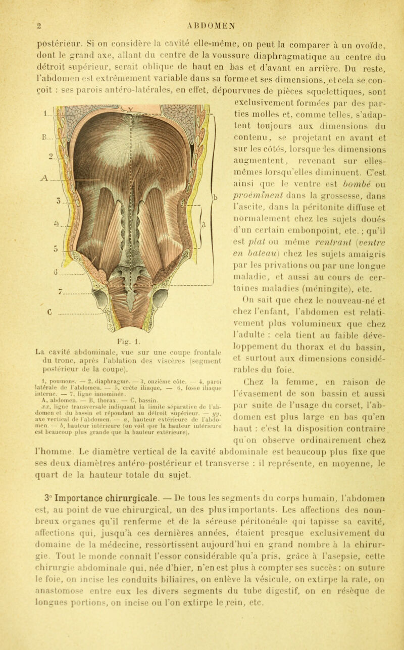 postérieur. Si on considère la cavité elle-même, on peut la comparer à un ovoïde, dont le grand axe, allant du centre de la voussure diaphragmatique au centre du détroit supérieur, serait oblique de haut en bas et d’avant en arrière. Du reste, l’abdomen est extrêmement variable dans sa forme et ses dimensions, et cela se con- çoit : ses parois antéro-latérales, en effet, dépourvues de pièces squeiettiques, sont exclusivement formées par des par- ties molles et, comme telles, s’adap- tent toujours aux dimensions du contenu, se projetant en avant et sur les cotés, lorsque les dimensions augmentent, revenant sur elles- mêmes lorsqu’elles diminuent. C’est ainsi que le ventre est bombé ou proéminent dans la grossesse, dans l’ascite, dans la péritonite diffuse et normalement chez les sujets doués d’un certain embonpoint, etc. ; qu’il est plat ou même rentrant {ventre en bateau) chez les sujets amaigris par 1rs privations ou par une longue maladie, et aussi au cours de cer- taines maladies (méningite), etc. On sait que chez le nouveau-né et chez l’enfant, l’abdomen est relati- vement plus volumineux que chez l'adulte : cela tient au faible déve- loppement du thorax et du bassin, et surtout aux dimensions considé- rables du foie. Chez la femme, en raison de l’évasement de son bassin et aussi par suite de l’usage du corset, l’ab- domen est plus large en bas qu’en haut : c’est la disposition contraire qu on observe ordinairement chez l’homme. Le diamètre vertical de la cavité abdominale est beaucoup plus fixe que ses deux diamètres antéro-postérieur et transverse : il représente, en moyenne, le quart de la hauteur totale du sujet. Fig. 1. La cavité abdominale, vue sur une coupe frontale du tronc, après l’ablation des viscères (segment postérieur de la coupe). 1. poumons. — 2, diaphragme. — 3. onzième côle. — 4, paroi latérale de l'abdomen. — 5, crête iliaque, — 6, fosse iliaque interne. — 7, ligne innommée. A, abdomen. — B, thorax. — C, bassin. xx, ligne transversale indiquant la limite séparative de l'ab- domen et du bassin et répondant au détroit supérieur. — yy, axe vertical de l'abdomen. — a, hauteur extérieure de l'abdo- men. — b, hauteur intérieure fon voit que la hauteur intérieure est beaucoup plus grande que la hauteur extérieure). 3° Importance chirurgicale. — De tous les segments du corps humain, l’abdomen est, au point de vue chirurgical, un des plus importants. Les affections des nom- breux organes qu’il renferme et de la séreuse péritonéale qui tapisse sa cavité, affections qui, jusqu’à ces dernières années, étaient presque exclusivement du domaine de la médecine, ressortissent aujourd’hui en grand nombre à la chirur- gie. Tout le monde connaît l’essor considérable qu’a pris, grâce à l’asepsie, cette chirurgie abdominale qui. née d’hier, n’en est plus à compter ses succès: on suture le foie, on incise les conduits biliaires, on enlève la vésicule, on extirpe la rate, on anastomose entre eux les divers segments du tube digestif, on en résèque de longues portions, on incise ou l’on extirpe le rein, etc.