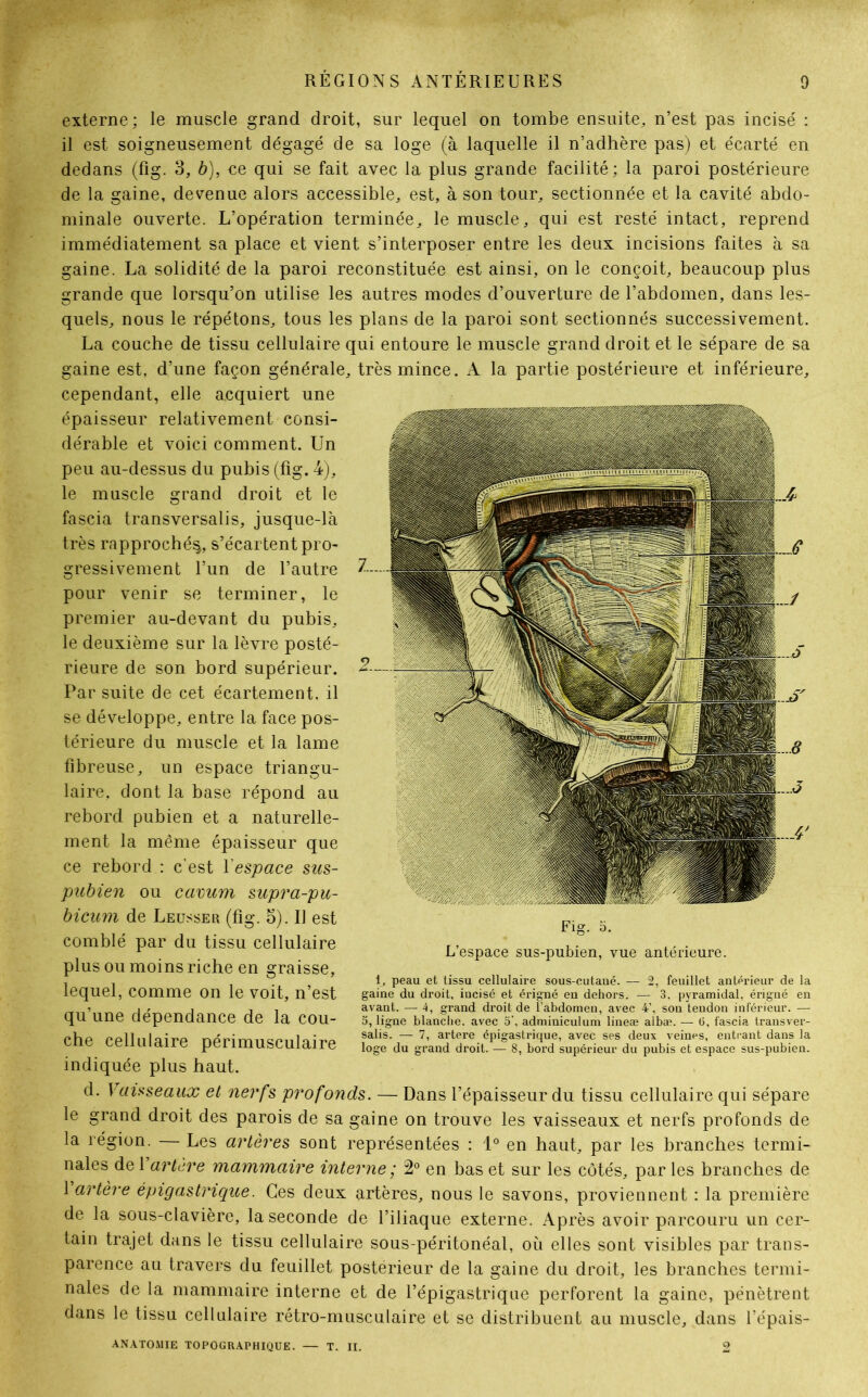 externe; le muscle grand droit, sur lequel on tombe ensuite, n’est pas incisé : il est soigneusement dégagé de sa loge (à laquelle il n’adhère pas) et écarté en dedans (fig. 3, b), ce qui se fait avec la plus grande facilité; la paroi postérieure de la gaine, devenue alors accessible, est, à son tour, sectionnée et la cavité abdo- minale ouverte. L’opération terminée, le muscle, qui est resté intact, reprend immédiatement sa place et vient s’interposer entre les deux incisions faites à sa gaine. La solidité de la paroi reconstituée est ainsi, on le conçoit, beaucoup plus grande que lorsqu’on utilise les autres modes d’ouverture de l’abdomen, dans les- quels, nous le répétons, tous les plans de la paroi sont sectionnés successivement. La couche de tissu cellulaire qui entoure le muscle grand droit et le sépare de sa gaine est, d’une façon générale, très mince. A la partie postérieure et inférieure, cependant, elle acquiert une épaisseur relativement consi- dérable et voici comment. Un peu au-dessus du pubis (fig. 4), le muscle grand droit et le fascia transversalis, jusque-là très rapproché^, s’écartent pro- gressivement l’un de l’autre pour venir se terminer, le premier au-devant du pubis, le deuxième sur la lèvre posté- rieure de son bord supérieur. Par suite de cet écartement, il se développe, entre la face pos- térieure du muscle et la lame fibreuse, un espace triangu- laire, dont la base répond au rebord pubien et a naturelle- ment la même épaisseur que ce rebord : c'est l'espace sus- pubien ou cavum supra-pu- bicum de Leusser (fig. 3). U est comblé par du tissu cellulaire plus ou moins riche en graisse, lequel, comme on le voit, n’est qu’une dépendance de la cou- che cellulaire périmusculaire indiquée plus haut. d. Vaisseaux et nerfs profonds. — Dans l’épaisseur du tissu cellulaire qui sépare le grand droit des parois de sa gaine on trouve les vaisseaux et nerfs profonds de la région. — Les artères sont représentées : 1° en haut, par les branches termi- nales de Vartere mammaire interne; 2° en bas et sur les côtés, parles branches de 1 artère épigastrique. Ces deux artères, nous le savons, proviennent : la première de la sous-clavière, la seconde de l’iliaque externe. Après avoir parcouru un cer- tain trajet dans le tissu cellulaire sous-péritonéal, où elles sont visibles par trans- parence au travers du feuillet postérieur de la gaine du droit, les branches termi- nales de la mammaire interne et de l’épigastrique perforent la gaine, pénètrent dans le tissu cellulaire rétro-musculaire et se distribuent au muscle, dans l’épais- ANATOMIE TOPOGRAPHIQUE. — T. II. 2 Fig. 5. L’espace sus-pubien, vue antérieure. 1, peau et tissu cellulaire sous-eutaué. — 2, feuillet antérieur de la gaine du droit, incisé et érigné en dehors. — 3, pyramidal, érigné en avant. — 4, grand droit de l’abdomen, avec 4’, son tendon inférieur. — 5, ligne blanche, avec 5\ adminiculum lineæ albæ. — (5, fascia transver- salis. — 7, artere épigastrique, avec ses deux veines, entrant dans la loge du grand droit. — 8, bord supérieur du pubis et espace sus-pubien.