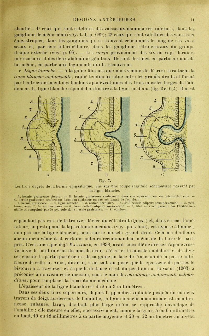 aboutir : 1° ceux qui sont satellites des vaisseaux mammaires internes, dans les ganglions de même nom (voy. t. I, p. 689); 2° ceux qui sont satellites des vaisseaux épigastriques, dans les ganglions qui se trouvent échelonnés le long de ces vais- seaux et, par leur intermédiaire, dans les ganglions rétro-cruraux du groupe iliaque externe (voy. p. 66). — Les nerfs proviennent des six ou sept derniers intercostaux et des deux abdomino-génitaux. Ils sont destinés, en partie au muscle lui-même, en partie aux téguments qui le recouvrent. e. Ligne blanche. — A la gaine fibreuse que nous venons de décrire se rattache la ligne blanche abdominale, raphé tendineux situé entre les grands droits et formé par l’entrecroisement des tendons aponévrotiques des trois muscles larges de l’ab- domen. La ligne blanche répond d’ordinaire h la ligne médiane (fig. 2 et 6,4). Il n’est Les trois degrés de la hernie épigastrique, vus sur une coupe sagittale schématisée passant par la ligne blanche. A, hernie graisseuse simple. — B, hernie graisseuse renfermant dans son épaisseur un sac péritonéal vide. — C, hernie graisseuse renfermant dans son épaisseur un sac contenant de l’épiploon. 1, hernie graisseuse. — 2, ligne blanche. — 3, orifice herniaire. — 4, tissu cellulo-adipeux sous-péritonéal. — S, péri- toine, avec 5’, le sac herniaire. — (3, tissu cellulo-adipeux sous-cutané. - 7, filet nerveux passant par l'orifice her- niaire et comprimé par le pédicule de la hernie graisseuse. — 8, épiploon. cependant pas rare de la trouver déviée du côté droit (Quénu) et, dans ce cas, l’opé- rateur, en pratiquant la laparotomie médiane (voy. plus loin), est exposé à tomber, non pas sur la ligne blanche, mais sur le muscle grand droit. Gela n’a d’ailleurs aucun inconvénient et certains auteurs recommandent même de le faire de parti pris. C’est ainsi que déjà Malgaigne, en 1838, avait conseillé de diviser l’aponévrose vis-à-vis le bord interne du muscle droit, d’écarter le muscle en dehors et de divi- ser ensuite la partie postérieure de sa gaine en face de l’incision de la partie anté- rieure de celle-ci. Ainsi, disait-il, « on sait au juste quelle épaisseur de parties le bistouri a à traverser et à quelle distance il est du péritoine ». Longüet (1903) a préconisé à nouveau cette incision, sous le nom de cœliotomie abdominale submé- diane, pour remplacer la laparotomie médiane. L’épaisseur de la ligne blanche est de 2 ou 3 millimètres.. Dans ses deux tiers supérieurs, depuis l’appendice xiphoïde jusqu’à un ou deux travers de doigt au-dessous de l’ombilic, la ligne blanche abdominale est membra- neuse, rubanée, large, d’autant plus large qu’on se rapproche davantage de l’ombilic : elle mesure en effet, successivement, comme largeur, 5 ou 6 millimètres en haut, 10 ou 12 millimètres à sa partie moyenne et 20 ou 22 millimètres au niveau