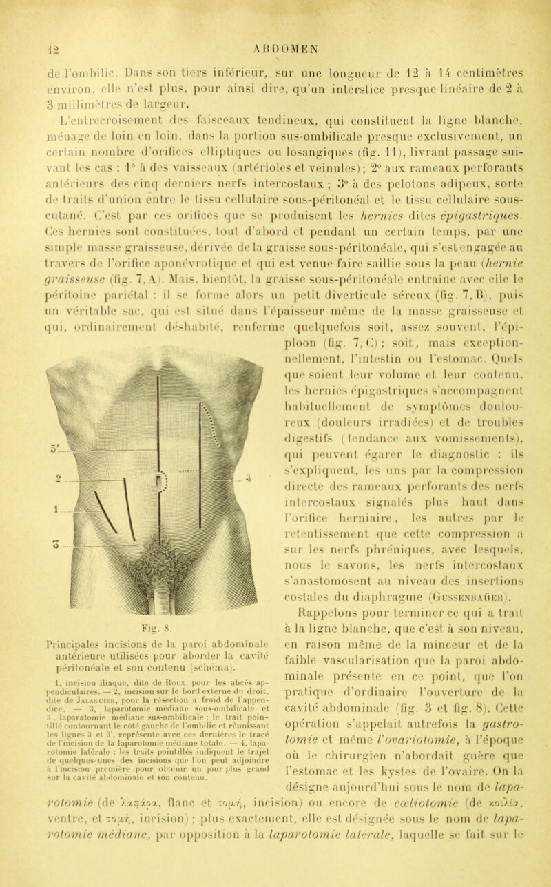 de l’ombilic. Dans son tiers inférieur, sur une longueur de 12 à 14 centimètres environ, elle n’est plus, pour ainsi dire, qu’un interstice presque linéaire de 2 à 3 millimètres de largeur. L’entrecroisement des faisceaux tendineux, qui constituent la ligne blanche, ménage de loin en loin, dans la portion sus-ombilicale presque exclusivement, un certain nombre d’orifices elliptiques ou losangiques (fig. 11), livrant passage sui- vant les cas : 1° à des vaisseaux (artérioles et veinules); 2° aux rameaux perforants antérieurs des cinq derniers nerfs intercostaux; 3° h des pelotons adipeux, sorte de traits d’union entre le tissu cellulaire sous-péritonéal et le tissu cellulaire sous- cutané. C’est par ces orifices que se produisent les hernies dites épigastriques. Ces hernies sont constituées, tout d’abord et pendant un certain temps, par une simple masse graisseuse, dérivée delà graisse sous-péritonéale, qui s’est engagée au travers de l’orifice aponévrotique et qui est venue faire saillie sous la peau (hernie graisseuse (lig. 7,A). Mais, bientôt, la graisse sous-péritonéale entraîne avec elle le péritoine pariétal : il se forme alors un petit diverticule séreux (fig. 7, B), puis un véritable sac, qui est situé dans l’épaisseur même de la masse graisseuse et qui. ordinairement déshabité, renferme quelquefois soit, assez souvent, l’épi- ploon (fig. 7, C) ; soit, mais exception- nellement, l’intestin ou l’estomac. Quels que soient leur volume et leur contenu, les hernies épigastriques s’accompagnent habituellement de symptômes doulou- reux (douleurs irradiées) et de troubles digestifs ( tendance aux vomissements), qui peuvent égarer le diagnostic : ils s’expliquent, les uns par la compression directe des rameaux perforants des nerfs intercostaux signalés plus haut dans l'orifice herniaire, les autres par le retentissement (pie cette compression a sur les nerfs phréniques, avec lesquels, nous le savons, les nerfs intercostaux s’anastomosent au niveau des insertions costales du diaphragme (Güssenbaüer). Rappelons pour terminer ce qui a trait à la ligne blanche, que c’est à son niveau, en raison même de la minceur et de la faible vascularisation que la paroi abdo- minale présente en ce point, que l’on pratique d’ordinaire l’ouverture de la cavité abdominale (fig. 3 et fig. 8). Cette opération s’appelait autrefois la gastro- tomie et même rovariotomie, à l’époque où le chirurgien n’abordait guère que l’estomac et les kystes de l’ovaire. On la désigne aujourd’hui sous le nom de lapa- rotomie (de v.azapa, flanc et tout,, incision) ou encore de cœliotomie (de xoO.b. ventre, et ~o;j.r,, incision) ; plus exactement, elle est désignée sous le nom de lapa- rotomie médiane, par opposition à la laparotomie latérale, laquelle se fait sur le Fig. 8. Principales incisions de la paroi abdominale antérieure utilisées pour aborder la cavité péritonéale et son contenu (schéma). 1, incision iliaque, dite de Roux, pour les abcès ap- pendiculaires. — 2, incision sur le bord externe du droit, dite de Jalaglter, pour la résection à froid de l'appen- dice. — 3, laparotomie médiane sous-ombilicaie et 3', laparatomie médiane sus-ombilicale : le trait poin- tillé contournant le côté gauche de l'ombilic et réunissant les lignes 3 et 3’, représente avec ces dernières le tracé de l incision de la laparotomie médiane totale. — 4, lapa- rotomie latérale : les traits pointillés indiquent le trajet de quelques-unes des incisions que l'on peut adjoindre à l'incision première pour obtenir uu jour plus grand sur la cavité abdominale et son contenu.