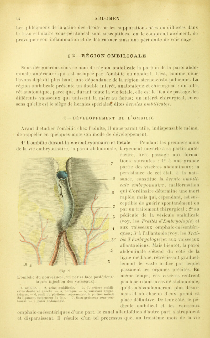 Les phlegmons de la gaine des droits ou les suppurations nées ou diffusées dans le tissu cellulaire sous-péritonéal sont susceptibles, on le comprend aisément, de provoquer son inflammation et de déterminer ainsi une péritonite de voisinage. § 2 RÉGION OMBILICALE Nous désignerons sous ce nom de région ombilicale la portion de la paroi abdo- minale antérieure qui est occupée par l’ombilic ou nombril. C’est, comme nous l’avons déjà dit plus haut, une dépendance de la région sterno-costo-pubienne. La région ombilicale présente un double intérêt, anatomique et chirurgical : un inté- rêt anatomique, parce que, durant toute la vie fœtale, elle est le lieu de passage des différents vaisseaux qui unissent la mère au fœtus; un intérêt chirurgical, en ce sens qu’elle est le siège de hernies spéciale^ dites hernies ombilicales. A)— DÉVELOPPEMENT DE L’OMBILIC Avant d’étudier l’ombilic chez l’adulte, il nous parait utile, indispensable même, de rappeler en quelques mots son mode de développement. 1 L’ombilic durant la vie embryonnaire et fœtale — Fendant les premiers mois de la vie embryonnaire, la paroi abdominale, largement ouverte à sa partie anté- rieure, livre passage aux forma- tions suivantes : 1° à une grande partie des viscères abdominaux; la persistance de cet état, à la nais- sance, constitue la hernie ombili- cale embryonnaire , malformation <1 ni d'ordinaire détermine une mort rapide, mais (pii, cependant, est sus- ceptible de guérir spontanément ou par un traitement chirurgical ; 2° au pédicule de la vésicule ombilicale (voy. les Traités d'Embryologie) et aux vaisseaux omphalo-mésentéri- ques;3°à l’allantoïde (voy. les Trai- tés d'Embryologie) et aux vaisseaux allantoïdiens. Mais bientôt, la paroi abdominale s’étend du côté de la ligne médiane, rétrécissant graduel- lement le vaste orifice par lequel passaient les organes précités. En même temps, ces viscères rentrent peu à peu dans la cavité abdominale, qu’ils n’abandonneront plus désor- mais et où chacun d’eux prend sa place définitive. De leur côté, le pé- dicule ombilical et les vaisseaux omphalo-mésentériques d’une part, le canal allanloïdien d’autre pari, s’atrophient et disparaissent. Il résulte d’un tel processus que, au troisième mois de la vie Fig. 9. L'ombilic du nouveau-né, vu par sa face postérieure (après injection des vaisseaux). 1. ombilic. — 2, veine ombilicale. — 3, 3’, artères ombili- cales droite et gauche. — 4, ouraque. — 5, vaisseaux épigas- triques. — 6, repli du péritoine, représentant la portion initiale du ligament suspenscur du foie. — 7, tissu graisseux sous-péri- tonéal. — 8, paroi abdominale.