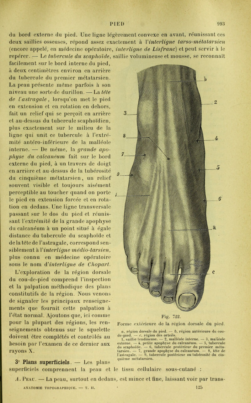 du bord externe du pied. Une ligne légèrement convexe en avant, réunissant ces deux saillies osseuses, répond assez exactement à l'interligne tarso-métatarsien (encore appelé, en médecine opératoire, interligne de Lisfranc) et peut servir à le repérer.— Le tubercule du scaphoïde, saillie volumineuse et mousse, se reconnaît facilement sur le bord interne du pied, à deux centimètres environ en arrière du tubercule du premier métatarsien. La peau présente même parfois à son niveau une sorte de durillon. —La tête de Vastragale, lorsqu’on met le pied en extension et en rotation en dehors, fait un relief qui se perçoit en arrière et au-dessus du tubercule scaphoïdien, plus exactement sur le milieu de la ligne qui unit ce tubercule à l’extré- mité antéro-inférieure de la malléole interne. — De même, la grande apo- physe du calcanéum fait sur le bord externe du pied, à un travers de doigt en arrière et au-dessus de la tubérosité du cinquième métatarsien, un relief souvent visible et toujours aisément perceptible au toucher quand on porte le pied en extension forcée et en rota- tion en dedans. Une ligne transversale passant sur le dos du pied et réunis- sant l’extrémité de la grande apophyse du calcanéum à un point situé à égale distance du tubercule du scaphoïde et de la tête de l’astragale, correspond sen- siblement à l’interligne médio-tarsien. plus connu en médecine opératoire sous le nom d’interligne de Chopart. L’exploration de la région dorsale du cou-de-pied comprend l’inspection et la palpation méthodique des plans constitutifs de la région. Nous venons de signaler les principaux renseigne- ments que fournit cette palpation à l’état normal. Ajoutons que, ici comme pour la plupart des régions, les ren- seignements obtenus sur le squelette doivent être complétés et contrôlés au besoin par l’examen de ce dernier aux rayons X. 3° Plans superficiels. — Les plans superficiels comprennent la peau et Fig. 722. Forme extérieure de la région dorsale du pied. a, région dorsale du pied. — b, région antérieure du cou- de-pied. — c, région des orteils. 1, saillie tendineuse. — 2, malléole interne. — 3, malléole externe. — 4, petite apophyse du calcanéum. — 5, tubercule du scaphoïde. — 6, tubercule postérieur du premier méta- tarsien. — 7, grande apophyse du calcanéum. — 8, tête de l'astragale. — 9, tubercule postérieur ou tubérosité du cin- quième métatarsien. 3 tissu cellulaire sous-cutané : A. Peau. — La peau, surtout en dedans, est mince et fine, laissant voir par trans- ANATOMIE TOPOUKAPHIQUE. — T. It. 125