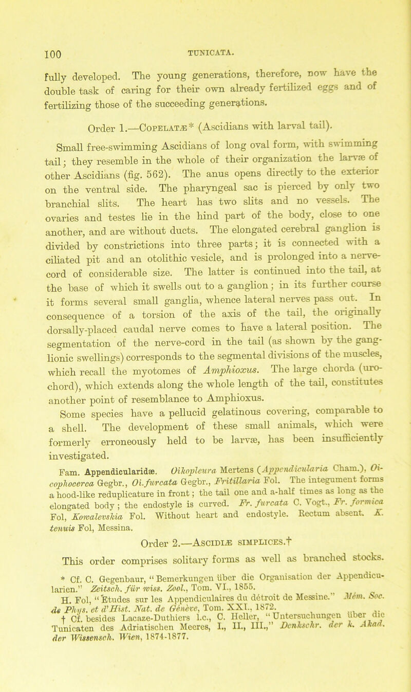 fully developed. The young generations, therefore, now have the double task of caring for their own already fertilized eggs and of fertilizing those of the succeeding generations. Order 1.—Copelatje * (Ascidians with larval tail). Small free-swimming Ascidians of long oval form, with swimming tail; they resemble in the whole of their Organization the larvae of other Ascidians (fig. 562). The anus opens directly to the exterior on the ventral side. The pharyngeal sac is pierced by only two branchial slits. The heart has two slits and no vessels. The ovaries and testes lie in the hind part of the body, close to one another, and are without ducts. The elongated cerebral ganglion is divided by constrictions into three parts; it is connected with a ciliated pit and an otolithic vesicle, and is prolonged into a nerve- cord of considerable size. The latter is continued into the tail, at the base of which it swells out to a ganglion; in its further course it forms several small ganglia, whence lateral nerves pass out. In consequence of a torsion of the axis of the tail, the originally dorsally-placed caudal nerve comes to have a lateral position. The Segmentation of the nerve-cord in the tail (as shown by the gang- lionic swellings) corresponds to the segmental divisions of the museles, which recall the myotomes of Amphioxus. The large ehorda (uro- chord), which extends along the whole length of the tail, constitute* another point of resemblance to Amphioxus. Some species have a pellucid gelatinous covering, comparable to a Shell. The development of these small animals, which were formerly erroneously held to be larvte, has been insuihciently investigated. Farn Appendicularid®. Oxkopleura Mertens (Appcndieularia Cham.), Oi- copliocerca Gegbr., OLfurcata Gegbr., Fritülaria Fol. The integument forms a hood-like reduplicature in front; the tail one and a-half times as long as the elongated body ; the endostyle is curved. Fr. furcata C. Vogt., Fr. formten Fol, Eowalevskia Fol. Without heart and endostyle. Rectum absent K. tenuis Fol, Messina. Order 2.—Ascidi.e siMPLiCES.t This Order comprises solitary forms as well as branched Stocks. * Cf. C. Gegenbaur, “ Bemerkungen über die Organisation der Appendicu- larien.” Zeitsch. für miss. Zool., Tom. VI., 1855. H. Fol, “'Etudes sur les Appendiculaires du ddtroit de Messine.” Mem. Soc. de Phi/s. et d’Hist. Fat. de Oenexe, Tom. XXI., 1872. + Cf. besides Lacaze-Duthiers I.C., C. Heller, “Untersuchungen aber die Tunicaten des Adriatischen Meeres, I., IL, III.,” Dcnltschr. der k. Akad. der Wissensch. Wien, 1874-1877.