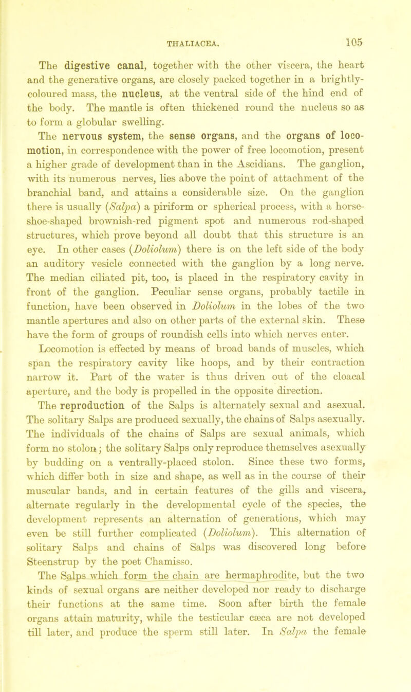The digestive canal, together witli the other viscera, the heart and the generative organs, are closely packed together in a brightly- coloured mass, the nucleus, at the ventral side of the hind end of the body. The mantle is often thickened round the nucleus so as to form a globular swelling. The nervous System, the sense Organs, and the organs of loco- motion, in correspondence with the power of free locomotion, present a higher grade of development than in the Ascidians. The ganglion, with its numerous nerves, lies above the point of attachment of the branchial band, and attains a considerable size. On the ganglion there is usually (Salpa) a piriform or spherical process, with a horse- shoe-shaped bi’ownish-red pigment spot and numerous rod-shaped structures, which prove beyond all doubt that this structure is an eye. In other cases (Doliolum) there is on the left side of the body an auditory vesicle connected with the ganglion by a long nerve. The median ciliated pit, too, is placed in the respiratory cavity in front of the ganglion. Peculiar sense organs, probably tactile in function, have been observed in Doliolum in the lobes of the two mantle apertures and also on other parts of the external skin. These have the form of groups of roundish cells into which nerves enter. Locomotion is effected by means of broad bands of muscles, which span the respiratory cavity like hoops, and by their contraction narrow it. Part of the water is thus driven out of the cloacal aperture, and the body is propelled in the opposite direction. The reproduction of the Salps is alternately sexual and asexual. The solitary Salps are produced sexually, the chains of Salps asexually. The individuals of the chains of Salps are sexual animals, which form no stolon; the solitary Salps only reproduce themselves asexually by budding on a ventrally-placed stolon. Since these two forms, which differ botk in size and shape, as well as in the course of their muscular bands, and in certain features of the gills and viscera, altemate regularly in the developmental cycle of the species, the development represents an altemation of generations, which may even be still further complicated {Doliolum). This alternation of solitary Salps and chains of Salps was discovered long before Steenstrup by the poet Chamisso. The Sglps which form the chain are hermaphrodite, but the two kinds of sexual organs are neither developed nor ready to discharge their functions at the same time. Soon after birth the female organs attain maturity, while the testicular cseca are not developed tili later, and produce the sperm still later. In Salpa the female