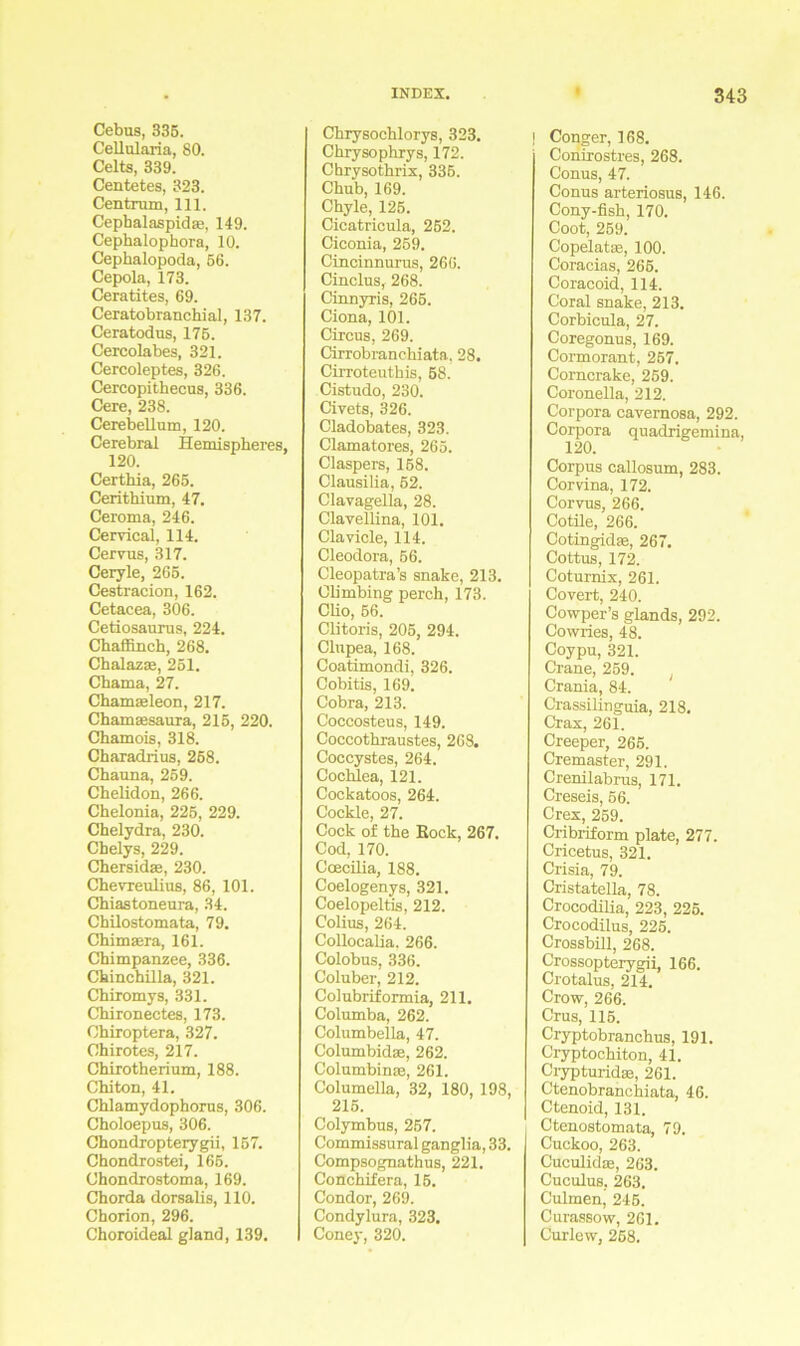 Cebus, 335. Cellularia, 80. Celts, 339. Centetes, 323. Centruin, 111. Cephalaspid®, 149. Cephalophora, 10. Cephalopoda, 56. Cepola, 173. Ceratites, 69. Ceratobranchial, 137. Ceratodus, 175. Cercolabes, 321. Cercoleptes, 326. Cercopithecus, 336. Cere, 238. Cerebellum, 120. Cerebral Hemispheres, 120. Certhia, 265. Ceritbium, 47. Ceroma, 246. Cervical, 114. Cervus, 317. Ceryle, 265. Cestracion, 162. Cetacea, 306. Cetiosaurus, 224. Chaflinch, 268. Chalazse, 251. Cbama, 27. Chamaeleon, 217. Chamaasaura, 215, 220. Chamois, 318. Charadrius, 268. Chauna, 259. Chelidon, 266. Chelonia, 225, 229. Chelydra, 230. Chelys, 229. Chersidae, 230. Chevreulius, 86, 101. Chiastoneura, 34. Chilostomata, 79. Chimaera, 161. Chimpanzee, 336. Chinchilla, 321. Chiromys, 331. Chironectes, 173. Chiroptera, 327. Chirotes, 217. Chirotherium, 188. Chiton, 41. Chlamydophorus, 306. Choloepus, 306. Chondropterygii, 157. Chondrostei, 165. Chondrostoma, 169. Chorda dorsalis, 110. Chorion, 296. Choroideal giand, 139. Chrysochlorys, 323. Chrysophrys, 172. Chrysothrix, 335. Chub, 169. Chyle, 125. Cicatricula, 252. Ciconia, 259. Cincinnurus, 266. Cinclus, 268. Cinnyris, 266. Ciona, 101. Circus, 269. Cirrobranchiata, 28. Cirroteuthis, 58. Cistudo, 230. Civets, 326. Cladobates, 323. Clamatores, 265. Claspers, 158. Clausilia, 52. Clavagella, 28. Clavellina, 101. Clavicle, 114. Cleodora, 56. Cleopatra’s snake, 213. Climbing perch, 173. Cho, 56. Clitoris, 205, 294. Clupea, 168. Coatimondi, 326. Cobitis, 169. Cobra, 213. Coccosteus, 149. Coccothraustes, 268. Coccystes, 264. Cochlea, 121. Cockatoos, 264. Cockle, 27. Cock of the Kock, 267. Cod, 170. Coecilia, 188. Coelogenys, 321. Coelopeltis, 212. Colius, 264. Collocalia. 266. Colobus, 336. Coluber, 212. Colubriformia, 211. Columba, 262. Columbella, 47. Columbid®, 262. Columbinse, 261. Columella, 32, 180, 198, 215. Colymbus, 257. Commissural ganglia, 33. Compsognathus, 221. Conchifera, 15. Condor, 269. Condylura, 323. Coney, 320. | Conger, 168. Conirostres, 268. Conus, 47. Conus arteriosus, 146. Cony-flsh, 170. Coot, 259. Copelat®, 100. Coracias, 265. Coracoid, 114. Coral snake, 213. Corbicula, 27. Coregonus, 169. Cormorant, 257. Corncrake, 259. Coronella, 212. Corpora cavernosa, 292. Corpora quadrigemina, 120. Corpus callosum, 283. Corvina, 172. Corvus, 266. Cotile, 266. Cotingidse, 267. Cottus, 172. Coturnix, 261. Covert, 240. Cowper’s glands, 292. Cowries, 48. Coypu, 321. Crane, 259. J Crania, 84. Crassilinguia, 218. Crax, 261. Creeper, 265. Cremaster, 291. Crenilabrus, 171. Creseis, 56. Crex, 259. Cribriform plate, 277. Cricetus, 321. Crisia, 79. Cristatella, 78. Crocodilia, 223, 225. Crocodilus, 225. Crossbill, 268. Crossopterygii, 166. Crotalus, 214. Crow, 266. Crus, 115. Cryptobranchus, 191. Cryptochiton, 41. Crypturidse, 261. Ctenobranchiata, 46. Ctenoid, 131. Ctenostomata, 79. Cuckoo, 263. Cuculidas, 263. Cuculus. 263. Culmen, 245. Curassow, 261. Curlew, 258.