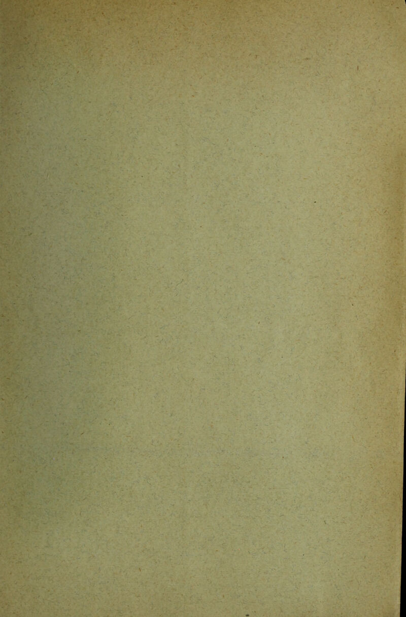 ir.-. y> « . 'v , A-