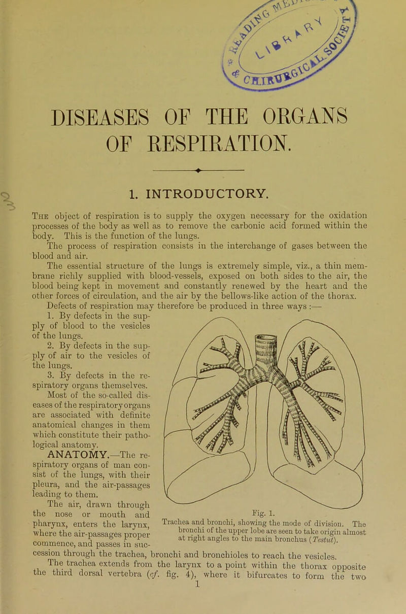 DISEASES OF THE ORGANS OF RESPIRATION. 1. INTRODUCTORY. The object of respiration is to supply the oxygen necessary for the oxidation processes of the body as well as to remove the carbonic acid formed within the body. This is the function of the lungs. The process of respiration consists in the interchange of gases between the blood and air. The essential structure of the lungs is extremely simple, viz., a thin mem- brane richly supplied with blood-vessels, exposed on both sides to the air, the blood being kept in movement and constantly renewed by the heart and the other forces of circulation, and the air by the bellows-like action of the thorax. Defects of respiration may therefore be produced in three ways :— 1. By defects in the sup- ply of blood to the vesicles of the lungs. 2. By defects in the sup- ply of air to the vesicles of the lungs. 3. By defects in the re- spiratory organs themselves. Most of the so-called dis- eases of the respiratory organs are associated with definite anatomical changes in them which constitute their patho- logical anatomy. ANATOMY.—The re- spiratory organs of man con- sist of the lungs, with their pleura, and the air-passages leading to them. The air, drawn through the nose or mouth and pharyux, enters the larynx, where the air-passages proper commence, and passes in suc- cession through the trachea, bronchi and bronchioles to reach the vesicles. The trachea extends from the larynx to a point within the thorax opposite the third dorsal vertebra (c/. fig. 4), where it bifurcates to form the two