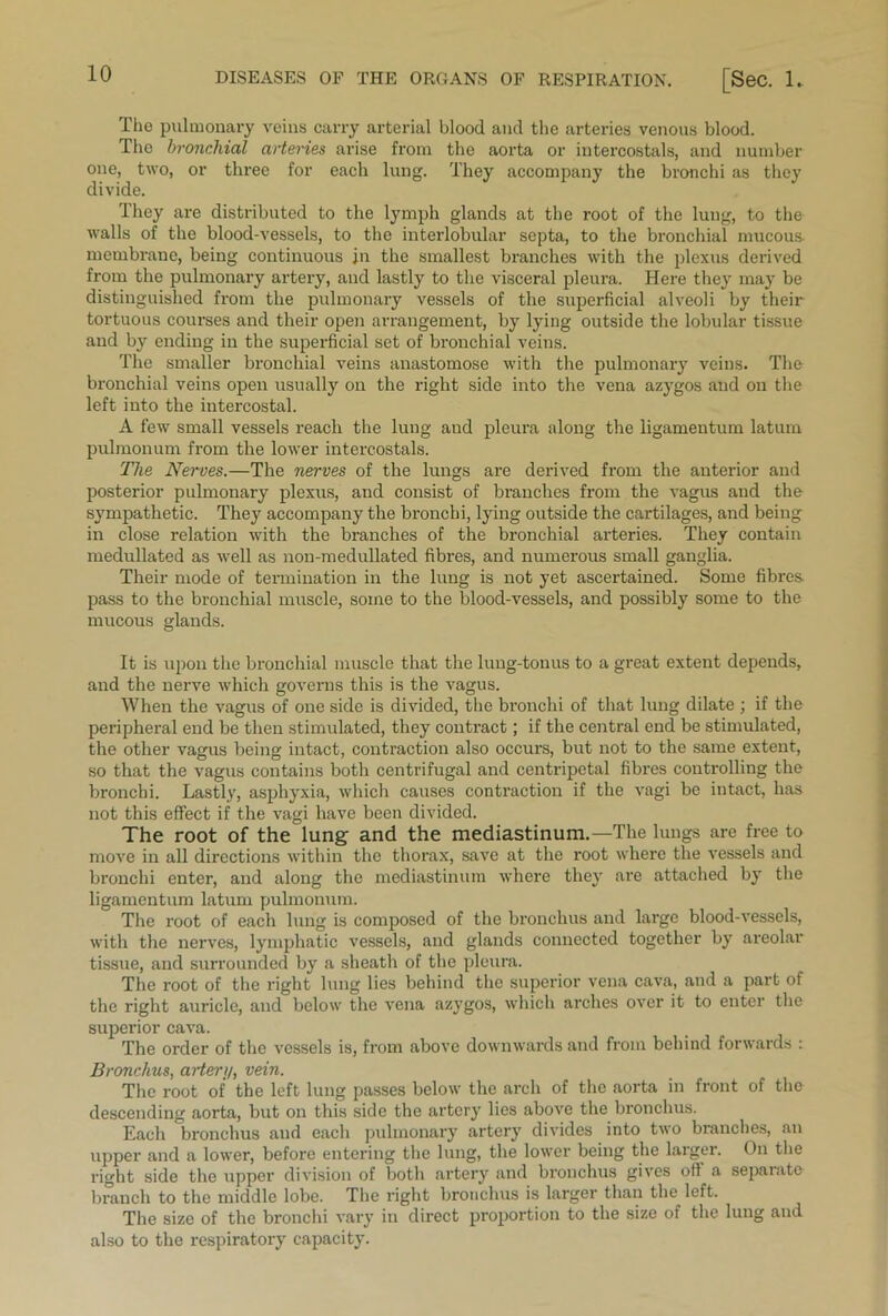 The pulmonary veins carry arterial blood and the arteries venous blood. The bronchial arteries arise from the aorta or intercostals, and number one, two, or three for each lung. They accompany the bronchi as they divide. They are distributed to the lymph glands at the root of the lung, to the walls of the blood-vessels, to the interlobular septa, to the bronchial mucous- membrane, being continuous jn the smallest branches with the plexus derived from the pulmonary artery, and lastly to the visceral pleura. Here they may be distinguished from the pulmonary vessels of the superficial alveoli by their tortuous courses and their open arrangement, by lying outside the lobular tissue and by ending in the superficial set of bronchial veins. The smaller bronchial veins anastomose with the pulmonary veins. The bronchial veins open usually on the right side into the vena azygos and on the left into the intercostal. A few small vessels reach the lung and pleura along the ligamentum latum pulmonum from the lower intercostals. The Nerves.—The nerves of the lungs are derived from the anterior and posterior pulmonary plexus, and consist of branches from the vagus and the sympathetic. They accompany the bronchi, lying outside the cartilages, and being in close relation with the branches of the bronchial arteries. They contain medullated as well as non-medullated fibres, and numerous small ganglia. Their mode of termination in the lung is not yet ascertained. Some fibres, pass to the bronchial muscle, some to the blood-vessels, and possibly some to the mucous glands. It is upon the bronchial muscle that the lung-tonus to a great extent depends, and the nerve which governs this is the vagus. When the vagus of one side is divided, the bronchi of that lung dilate ; if the peripheral end be then stimulated, they contract; if the central end be stimulated, the other vagus being intact, contraction also occurs, but not to the same extent, so that the vagus contains both centrifugal and centripetal fibres controlling the bz'onchi. Lastly, asphyxia, which causes contraction if the vagi be intact, has not this effect if the vagi have been divided. The root of the lung and the mediastinum.—The lungs are free to move in all directions within the thorax, save at the root where the vessels and bronchi enter, and along the mediastinum where they are attached by the ligamentum latum pulmonum. The root of each lung is composed of the bronchus and large blood-vessels, with the nerves, lymphatic vessels, and glands connected together by areolar tissue, and surrounded by a sheath of the pleura. The root of the right lung lies behind the superior vena cava, and a part of the right auricle, and below the vena azygos, which arches over it to enter the superior cava. The order of the vessels is, from above downwards and from behind forwards : Bronchus, artery, vein. The root of the left lung passes below the arch of the aorta in front of the descending aorta, but on this side the artery lies above the bronchus. Each bronchus and each pulmonary artery divides into two branches, an upper and a lower, before entering the lung, the lower being the larger. On the right side the upper division of both artery and bronchus gives oft a sepaiato branch to the middle lobe. The right bronchus is larger than the left. The size of the bronchi vary in direct proportion to the size of the lung and also to the respiratory capacity.
