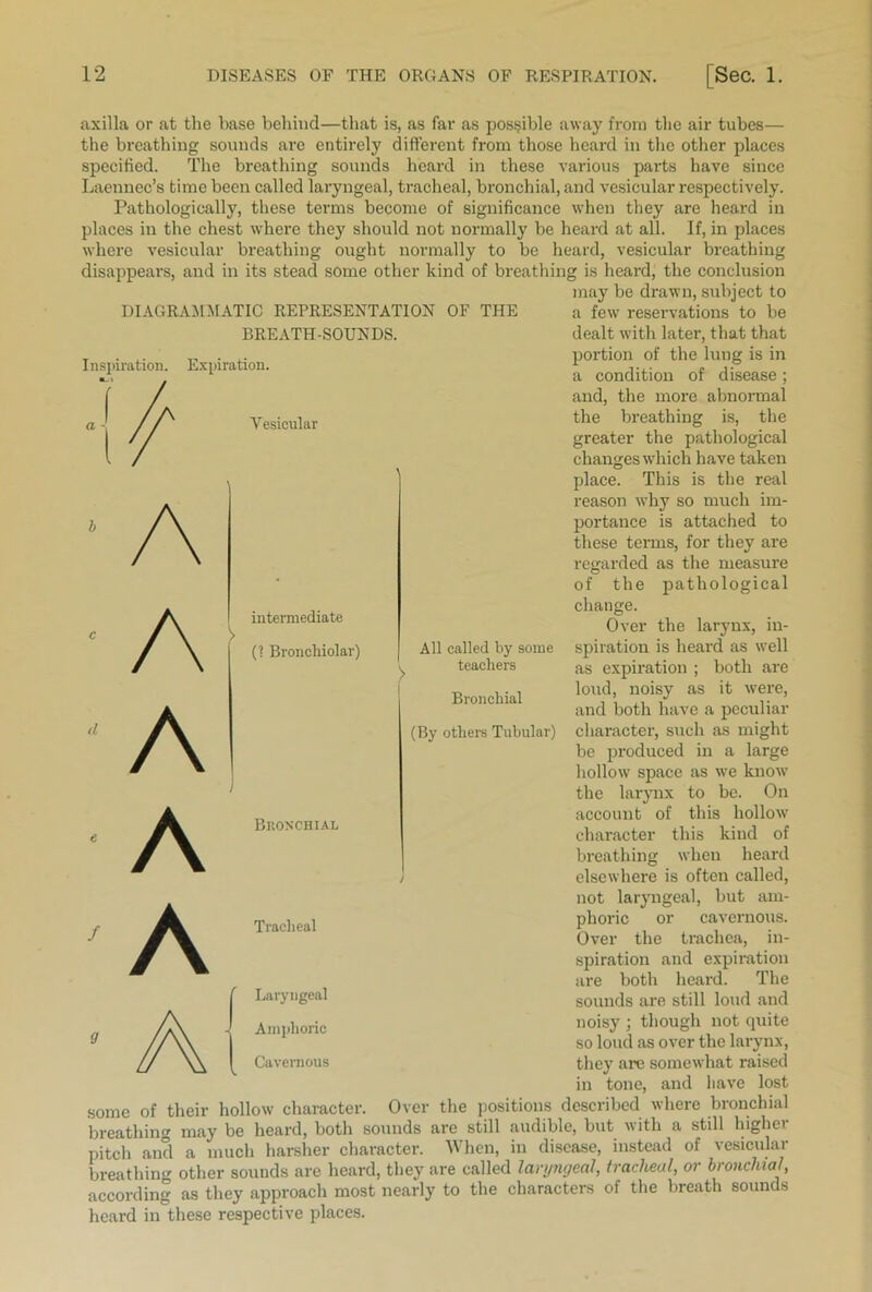 axilla or at the base behind—that is, as far as possible away from the air tubes— the breathing sounds arc entirely different from those heard in the other places specified. The breathing sounds heard in these various parts have since Laennec’s time been called laryngeal, tracheal, bronchial, and vesicular respectively. Pathologically, these terms become of significance when they are heard in places in the chest where they should not normally be heard at all. If, in places where vesicular breathing ought normally to be heard, vesicular breathing disappears, and in its stead some other kind of breathing is heard, the conclusion may be drawn, subject to DIAGRAMMATIC REPRESENTATION OF THE BREATH-SOUNDS. Inspiration. Expiration. Vesicular a few reservations to be dealt with later, that that portion of the lung is in a condition of disease; and, the more abnormal the breathing is, the greater the pathological changes which have taken b c d e / A A A A A intermediate > (? Broncliiolar) i Bronchial Tracheal Laryngeal All called by some teachers Bronchial (By others Tubular) place. This is the real reason why so much im- portance is attached to these terms, for they are regarded as the measure of the pathological change. Over the larynx, in- spiration is heard as well as expiration ; both are loud, noisy as it were, and both have a peculiar character, such as might be produced in a large hollow space as we know the larynx to be. On account of this hollow character this kind of breathing when heard elsewhere is often called, not laryngeal, but am- phoric or cavernous. Over the trachea, in- spiration and expiration are both heard. The sounds are still loud and a Amphoric Cavernous noisy ; though not quite so loud as over the larynx, they are somewhat raised in tone, and have lost some of their hollow character. Over the positions described where bronchial breathing may be heard, both sounds are still audible, but with a still higher pitch and a much harsher character. When, in disease, instead of vesicular breathing other sounds are heard, they are called laryngeal, tracheal, or bronchial, according as they approach most nearly to the characters of the breath sounds heard in these respective places.