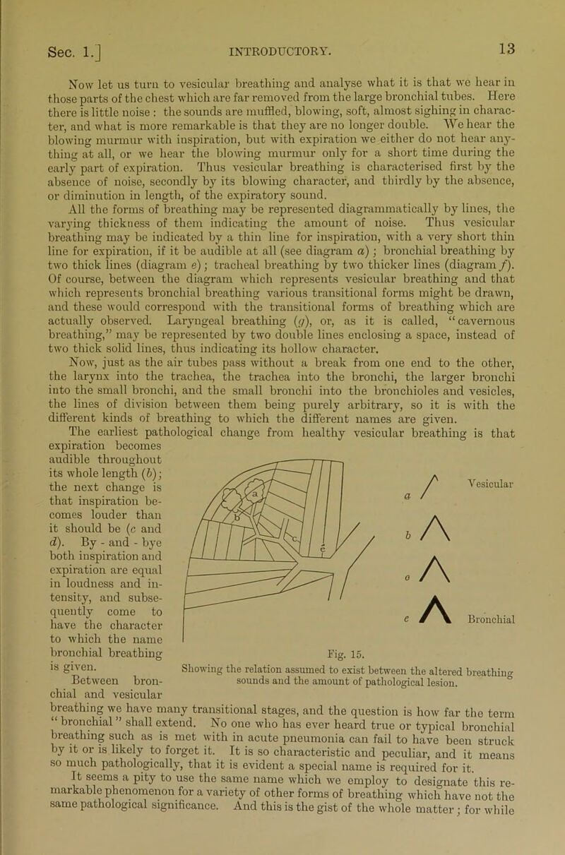 Now let us turn to vesicular breathing and analyse what it is that we hear in those parts of the chest which are far removed from the large bronchial tubes. Here there is little noise : the sounds are muffled, blowing, soft, almost sighing in charac- ter, and what is more remarkable is that they are no longer double. We hear the blowing murmur with inspiration, but with expiration we either do not hear any- thing at all, or we hear the blowing murmur only for a short time during the early part of expiration. Thus vesicular breathing is characterised first by the absence of noise, secondly by its blowing character, and thirdly by the absence, or diminution in length, of the expiratory sound. All the forms of breathing may be represented diagrammatically by lines, the varying thickness of them indicating the amount of noise. Thus vesicular breathing may be indicated by a thin line for inspiration, with a very short thin line for expiration, if it be audible at all (see diagram a); bronchial breathing by two thick lines (diagram e); tracheal breathing by two thicker lines (diagram /). Of course, between the diagram which represents vesicular breathing and that which represents bronchial breathing various transitional forms might be drawn, and these would correspond with the transitional forms of breathing which are actually observed. Laryngeal breathing ((/), or, as it is called, “cavernous breathing,” may be represented by two double lines enclosing a space, instead of two thick solid lines, thus indicating its hollow character. Now, just as the air tubes pass without a break from one end to the other, the larynx into the trachea, the trachea into the bronchi, the larger bronchi into the small bronchi, and the small bronchi into the bronchioles and vesicles, the lines of division between them being purely arbitrary, so it is with the different kinds of breathing to which the different names are given. The earliest pathological change from healthy vesicular breathing is that expiration becomes audible throughout its whole length (h)■ the next change is that inspiration be- comes louder than it should be (c and d). By - and - bye both inspiration and expiration are equal in loudness and in- tensity, and subse- quently come to have the character to which the name bronchial breathing is given. Between bron- chial and vesicular breathing we have many transitional stages, and the question is how far the term “ bronchial ” shall extend. No one who has ever heard true or typical bronchial breathing such as is met with in acute pneumonia can fail to have been struck by it or is likely to forget it. It is so characteristic and peculiar, and it means so much pathologically, that it is evident a special name is required for it. It seems a pity to use the same name which we employ to designate this re- markable phenomenon for a variety of other forms of breathing which have not the same pathological significance. And this is the gist of the whole matter; for while / A A A Vesicular Bronchial Showing the relation assumed to exist between the altered breathing sounds and the amount of pathological lesion.