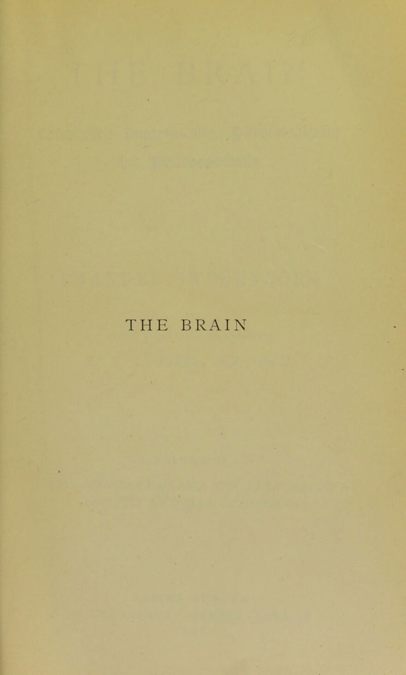 THE BRAIN