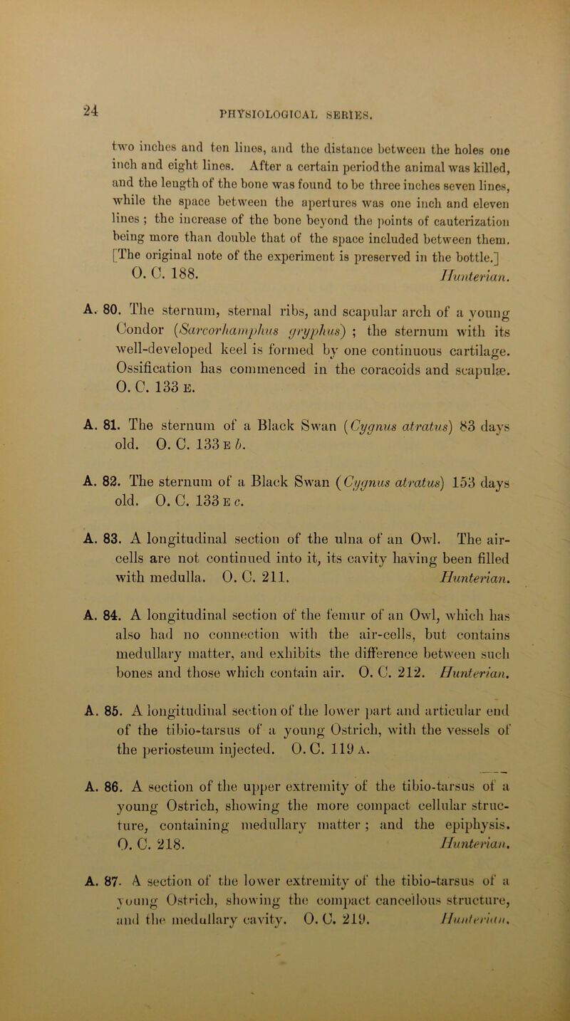 two inches and ten lines, and the distance between the holes one inch and eight lines. After a certain period the animal was killed, and the length of the bone was found to he three inches seven lines, while the space between the apertures was one inch and eleven lines ; the increase of the bone beyond the points of cauterization being more than double that of the space included between them. [ The original note of the experiment is preserved in the bottle.] 0. 0. 188. Jlunterian. A. 80. The sternum, sternal ribs, and scajiiilar arch of a young Condor {Sarcorhamplius yryphus^ ; the sternum with its well-developed keel is formed by one continuous cartilage. Ossification has commenced in the coracoids and scapulse. 0. C. 133 E. A. 81. The sternum of a Black Swan {Cygnus atratus] 83 days old. 0. 0.133 A. 82. The sternum of a Black Swan {Cygnus atratus) 153 days old. 0. C. 133 E c. A. 83. A longitudinal section of the ulna of an Owl. The air- cells are not continued into it, its cavity having been filled with medulla. 0. 0. 211. Hunterian. A. 84. A longitudinal section of the femur of an Owl, which has also had no connection with the air-cells, but contains medullary matter, and exhibits the difference between such bones and those which contain air. 0. 0. 212. Hunterian. A. 85. A longitudinal section of the lower part and articular end of the tibio-tarsus of a young Ostrich, with the vessels of the periosteum injected. 0. C. lUl A. A. 86. A section of the upper extremity of the tibio-fiirsus of a young Ostrich, showing the moi’e compact cellular struc- ture, containing medullary matter; and the epiphysis. 0. C. 218. Hunterian. A. 87- A section of the lower extremity of the tibio-tarsus of a young Ostrich, showing the compact cancellous structure, and the medullary cavity. 0. 0. 2U). Hanteriun.