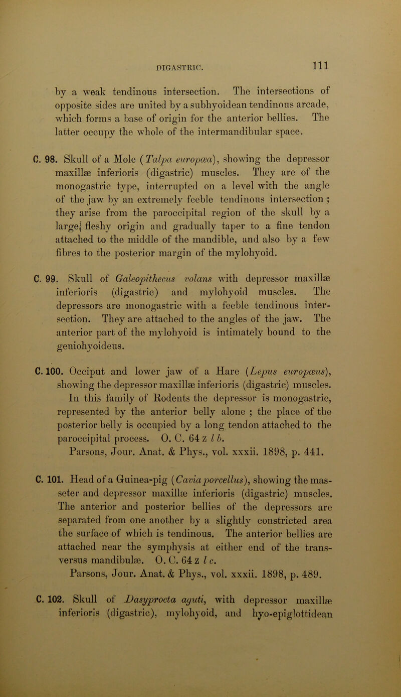 by a weak tendinous intersection. The intersections of opposite sides are united by a subhyoidean tendinous arcade, which forms a base of origin for the anterior bellies. The latter occupy the whole of the interinandibular space. C. 98. Skull of a Mole ( Talpa europcea), showing the depressor maxillae inferioris (digastric) muscles. They are of the monogastric type, interrupted on a level with the angle of the jaw by an extremely feeble tendinous intersection ; they arise from the paroccipital region of the skull by a largej fleshy origin and gradually taper to a fine tendon attached to the middle of the mandible, and also by a few fibres to the posterior margin of the mylohyoid. C. 99. Skull of Galeopithecus volans with depressor maxillae inferioris (digastric) and mylohyoid muscles. The depressors are monogastric with a feeble tendinous inter- section. They are attached to the angles of the jaw. The anterior part of the mylohyoid is intimately bound to the geniohyoideus. C. 100. Occiput and lower jaw of a Hare {Lepus euvopceus)^ showing the depressor maxillae inferioris (digastric) muscles. In this family of Rodents the depressor is monogastric, represented by the anterior belly alone ; the place of the posterior belly is occupied by a long tendon attached to the paroccipital process. 0. C. 64 z Z Parsons, Jour. Anat. & Phys., vol. xxxii. 1898, p. 441. C. 101. Head of a Guinea-pig {Caviaporcellus), showing the mas- se ter and depressor maxillae inferioris (digastric) muscles. The anterior and posterior bellies of the depressors are separated from one another by a slightly constricted area the surface of which is tendinous. The anterior bellies are attached near the symphysis at either end of the trans- versus mandibulae. 0. 0. 64 z I c. Parsons, Jour. Anat. & Phys., vol. xxxii. 1898, p. 489. C. 102. Skull of JDasyprocta aguti, with depressor maxillae inferioris (digastric), mylohyoid, and hyo-epiglottidean