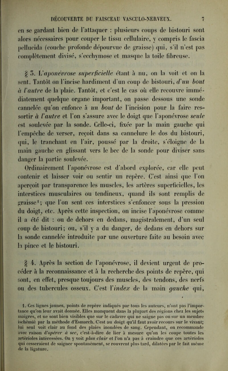 en se gardant bien de l’attaquer : plusieurs coups de bistouri sont alors nécessaires pour couper le tissu cellulaire, y compris le fascia pellucida (couche profonde dépourvue de graisse) qui, s’il n’est pas complètement divisé, s’ecchymose et masque la toile fibreuse. g 3. L'aponévrose superficielle étant à nu, on la voit et on la sent. Tantôt on l’incise hardiment d’un coup de bistouri, d'un bout à l'autre de la plaie. Tantôt, et c’est le cas où elle recouvre immé- diatement quelque organe important, on passe dessous une sonde cannelée qu’on enfonce à un bout de l’incision pour la faire res- sortir à l'autre et l’on s’assure avec le doigt que l’aponévrose seule est soulevée par la sonde. Celle-ci, fixée par la main gauche qui l’empêche de verser, reçoit dans sa cannelure le dos du bistouri, qui, le tranchant en l’air, poussé par la droite, s’éloigne de la main gauche en glissant vers le bec de la sonde pour diviser sans danger la partie soulevée. Ordinairement l’aponévrose est d’abord explorée, car elle peut contenir et laisser voir ou sentir un repère. C’est ainsi que l’on aperçoit par transparence les muscles, les artères superficielles, les interstices musculaires ou tendineux, quand ils sont remplis de graisse1; que l’on sent ces interstices s’enfoncer sous la pression du doigt, etc. Après cette inspection, on incise l’aponévrose comme il a été dit : ou de dehors en dedans, magistralement, d’un seul coup de bistouri; ou, s’il y a du danger, de dedans en dehors sur la sonde cannelée introduite par une ouverture faite au besoin avec la pince et le bistouri. § 4. Après la section de l’aponévrose, il devient urgent de pro- céder à la reconnaissance et à la recherche des points de repère, qui sont, en effet, presque toujours des muscles, des tendons, des nerfs ou des tubercules osseux. C’est Xindex de la main gauche qui, 1. Ces lignes jaunes, points de repère indiqués par tous les auteurs, n’ont pas l’impor- tance qu’on leur avait donnée. Elles manquent dans la plupart des régions chez les sujets maigres, et ne sont bien visibles que sur le cadavre qui ne saigne pas ou sur un membre ischémie par la méthode d’Esmarch. C’est au doigt qu’il faut avoir recours sur le vivant; lui seul voit clair au fond des plaies inondées de sang. Cependant, on recommande avec raison d'opérer à sec, c’est-à-dire de lier à mesure qu’on les coupe toutes les artérioles intéressées. On y voit plus clair et l’on n’a pas à craindre que ces artérioles qui cesseraient de saigner spontanément, se rouvrent plus tard, dilatées par le fait même de la ligature.